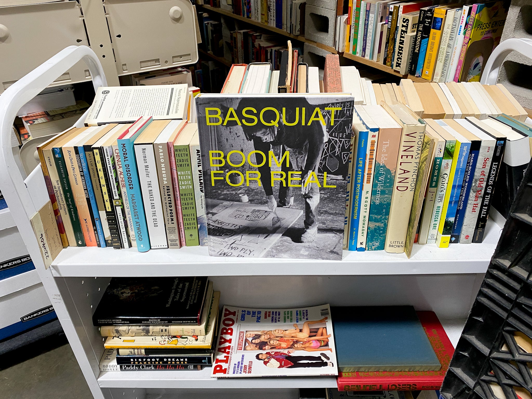 A (professional) pandemic update