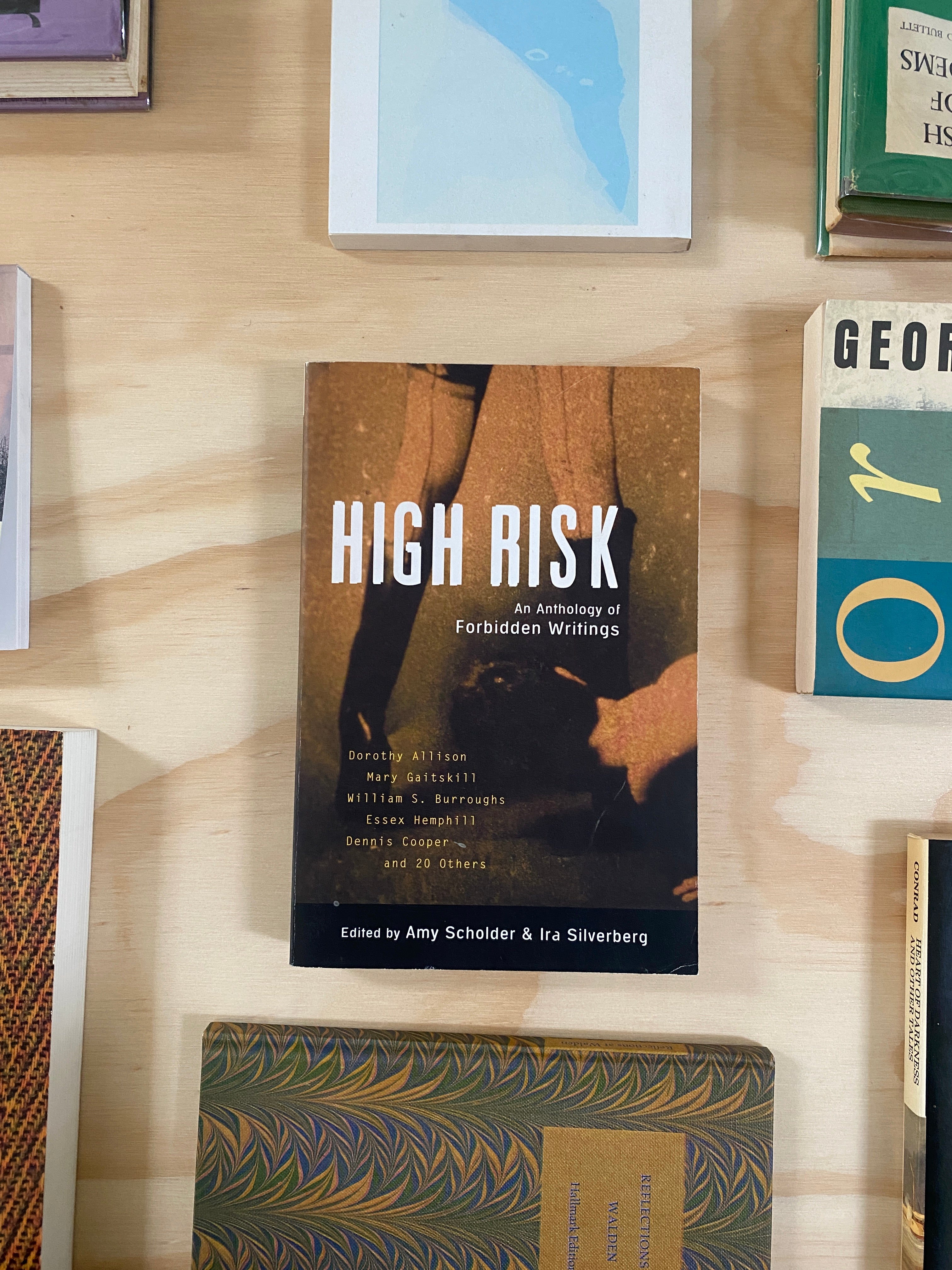 High Risk: An Anthology of Forbidden Writings edited by Amy Scholder (Plume Trade)