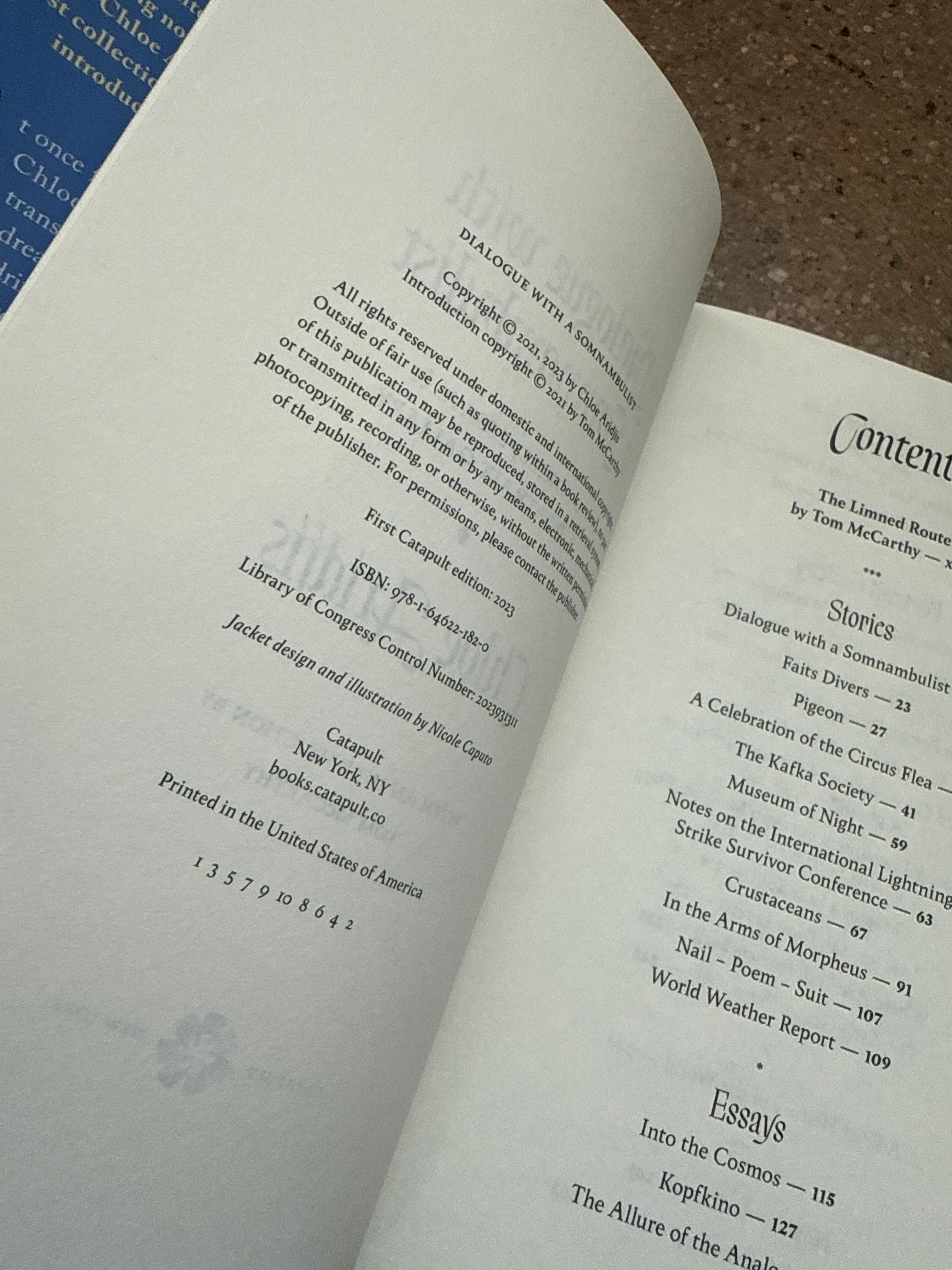 Dialogue with a Somnambulist by Chloe Aridjis