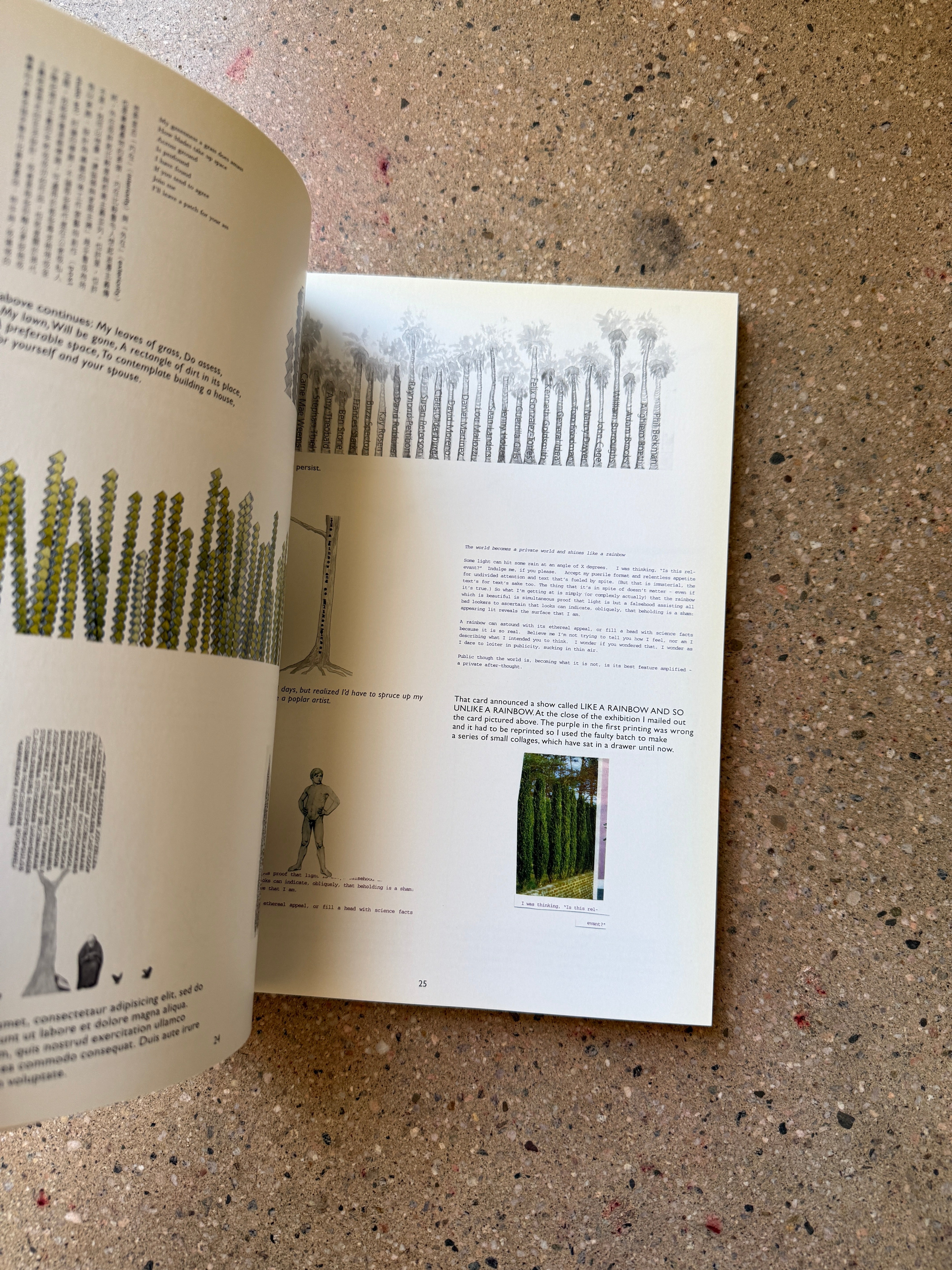 Frances Stark: Collected Works by Frances Stark (Walther Konig Large Softcover)