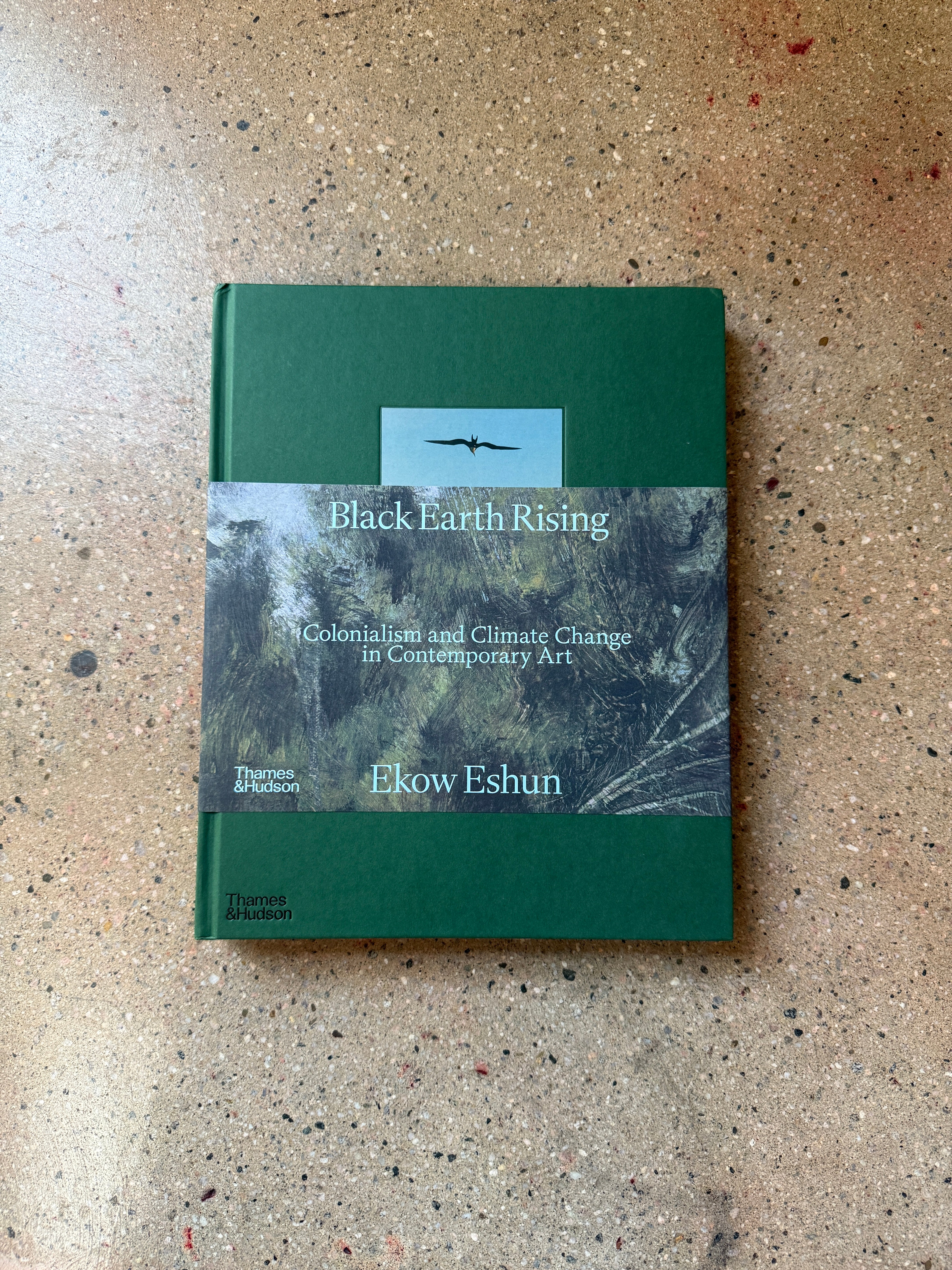 Black Earth Rising by Ekow Eshun (Thames and Hudson Large Hardcover)