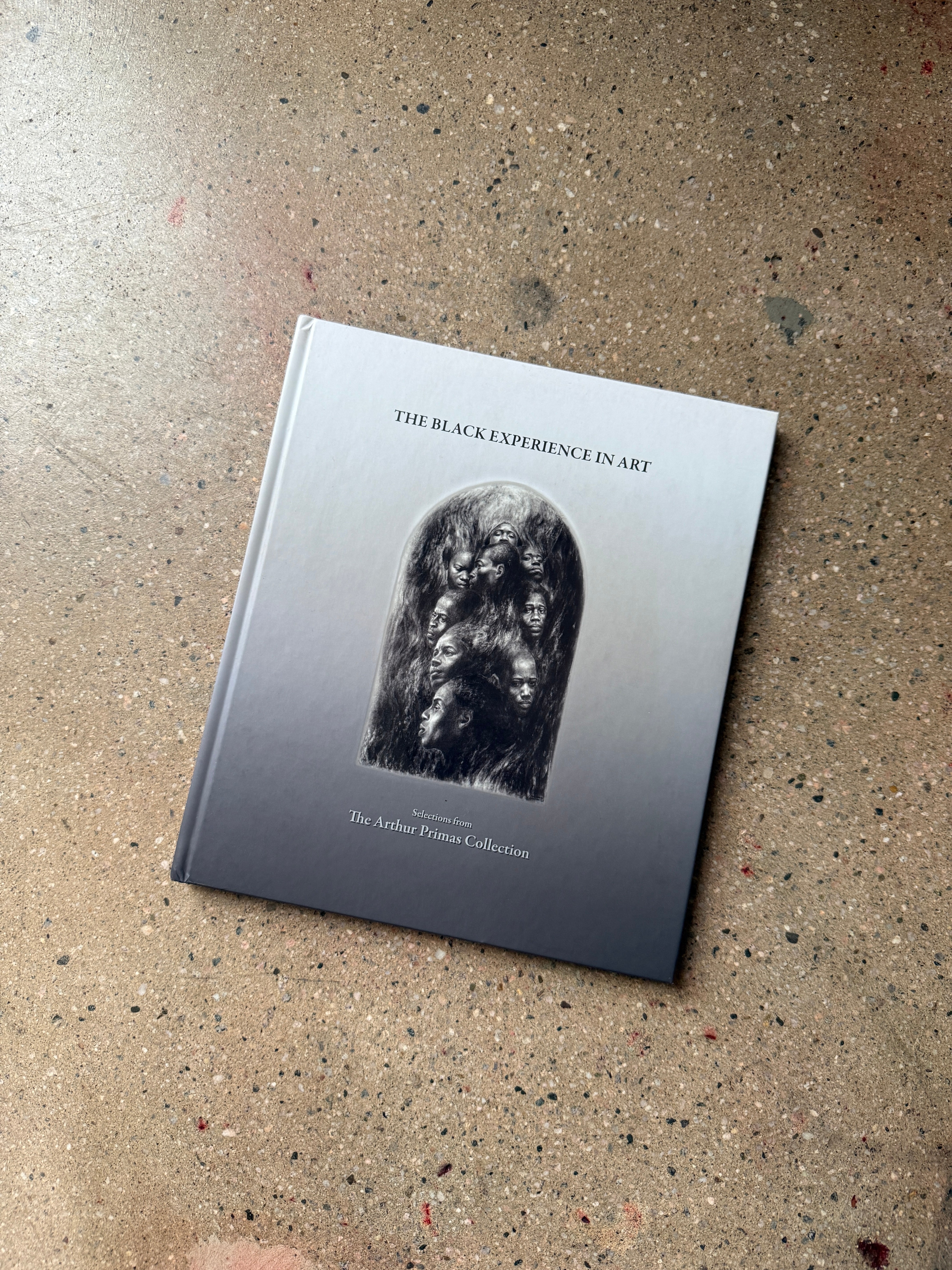 The Black Experience in Art: Selections from The Arthur Primas Collection edited by Rose M. Glennon (Heritage Gallery Large Hardcover)