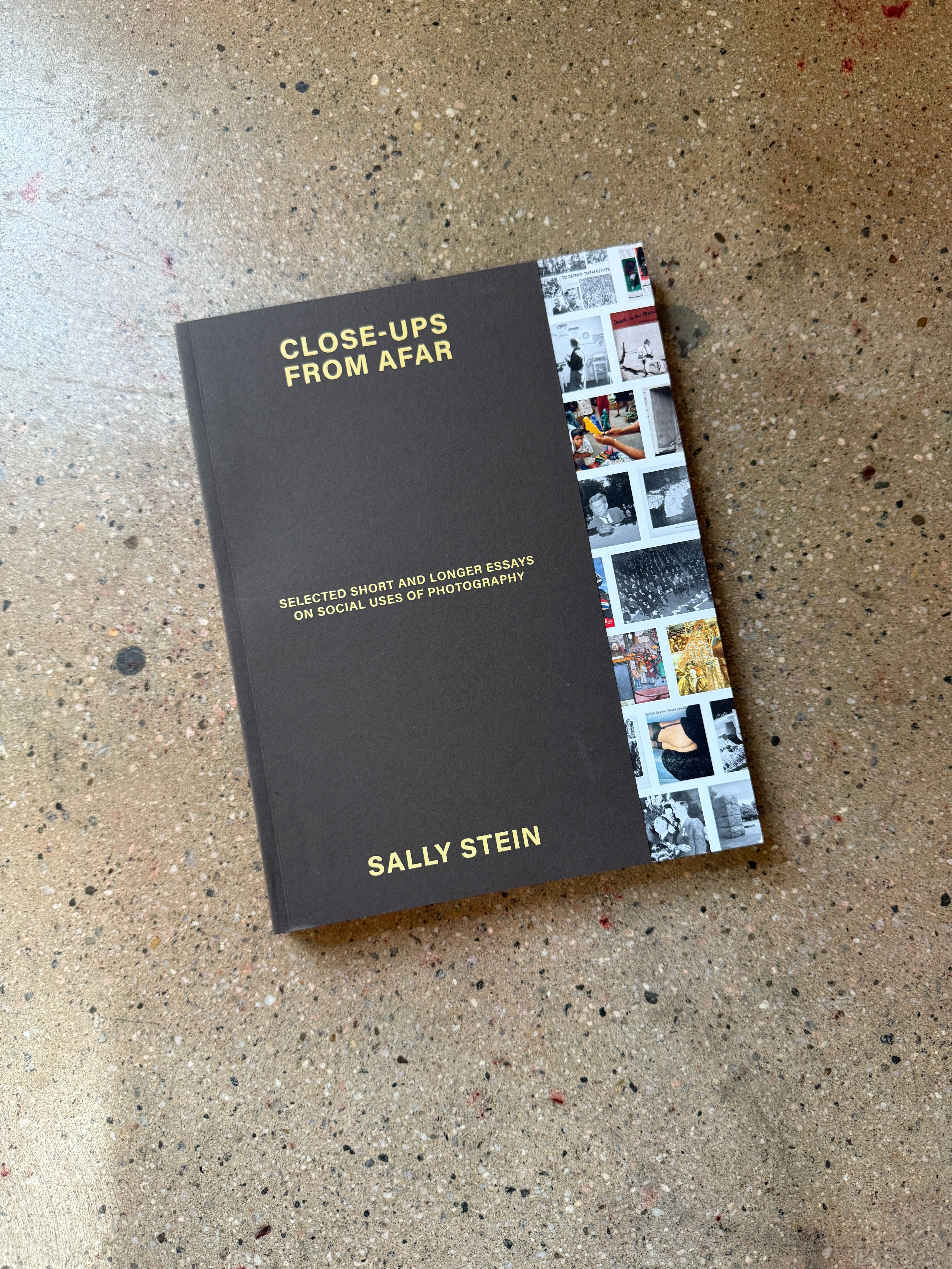 Close-Ups From Afar by Sally Stein (MACK Large Softcover)