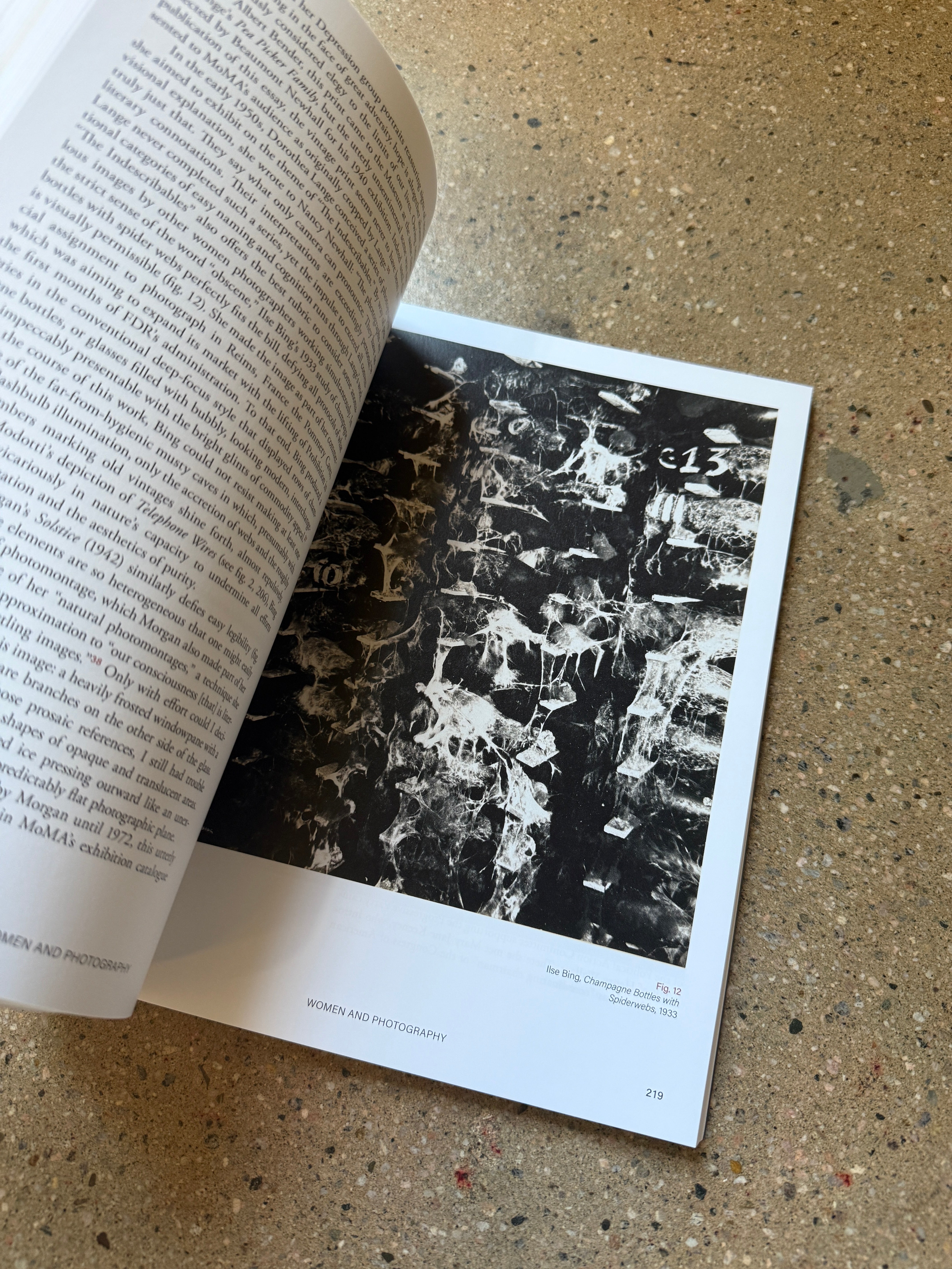 Close-Ups From Afar by Sally Stein (MACK Large Softcover)