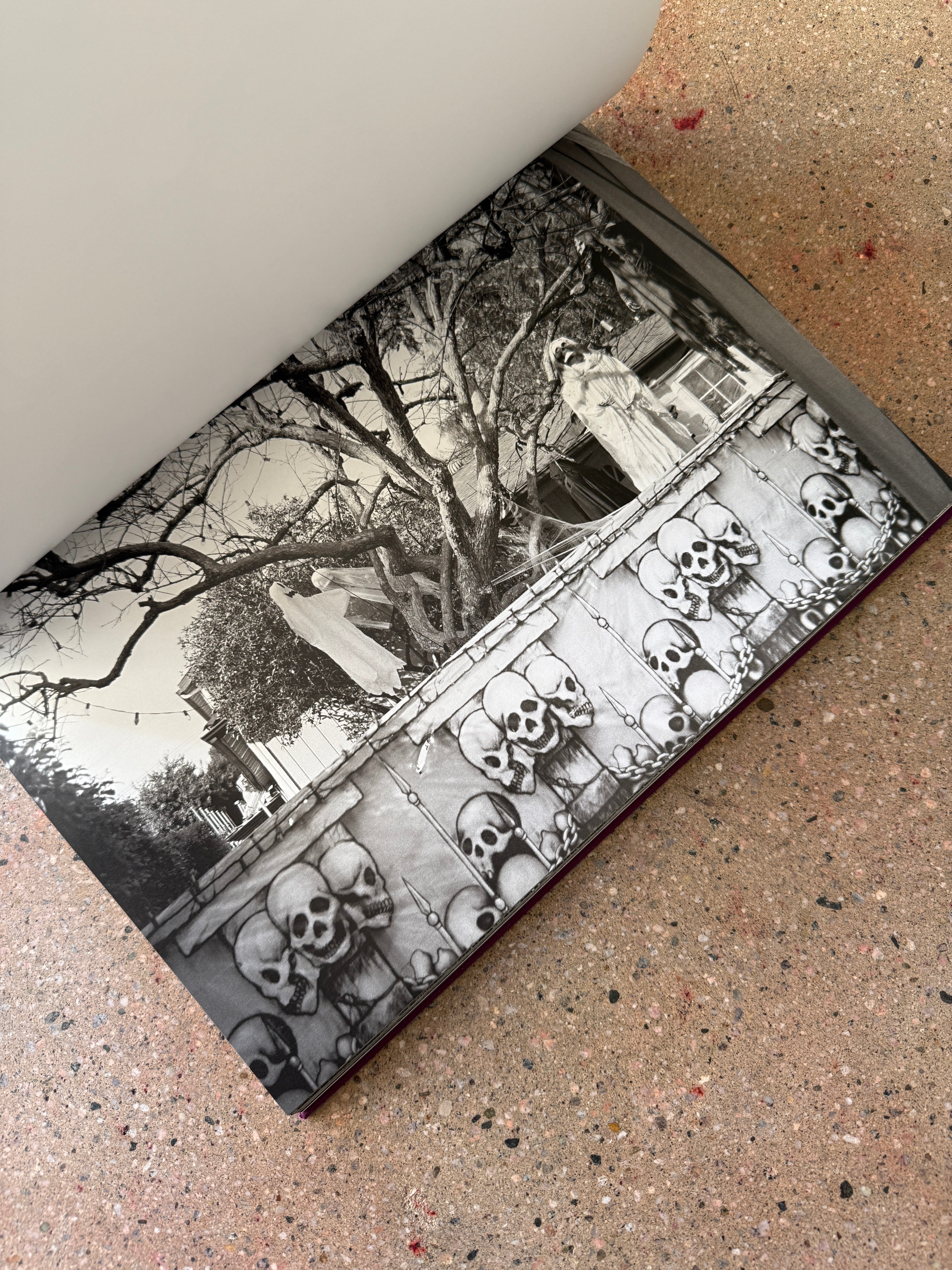 Front Lawn Funerals and Cemeteries by Cameron Jamie (Signed Edition Patrick Frey Large Hardcover)
