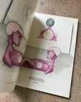 Helter Skelter: L.A. Art in the 1990s by Paul Schimmel