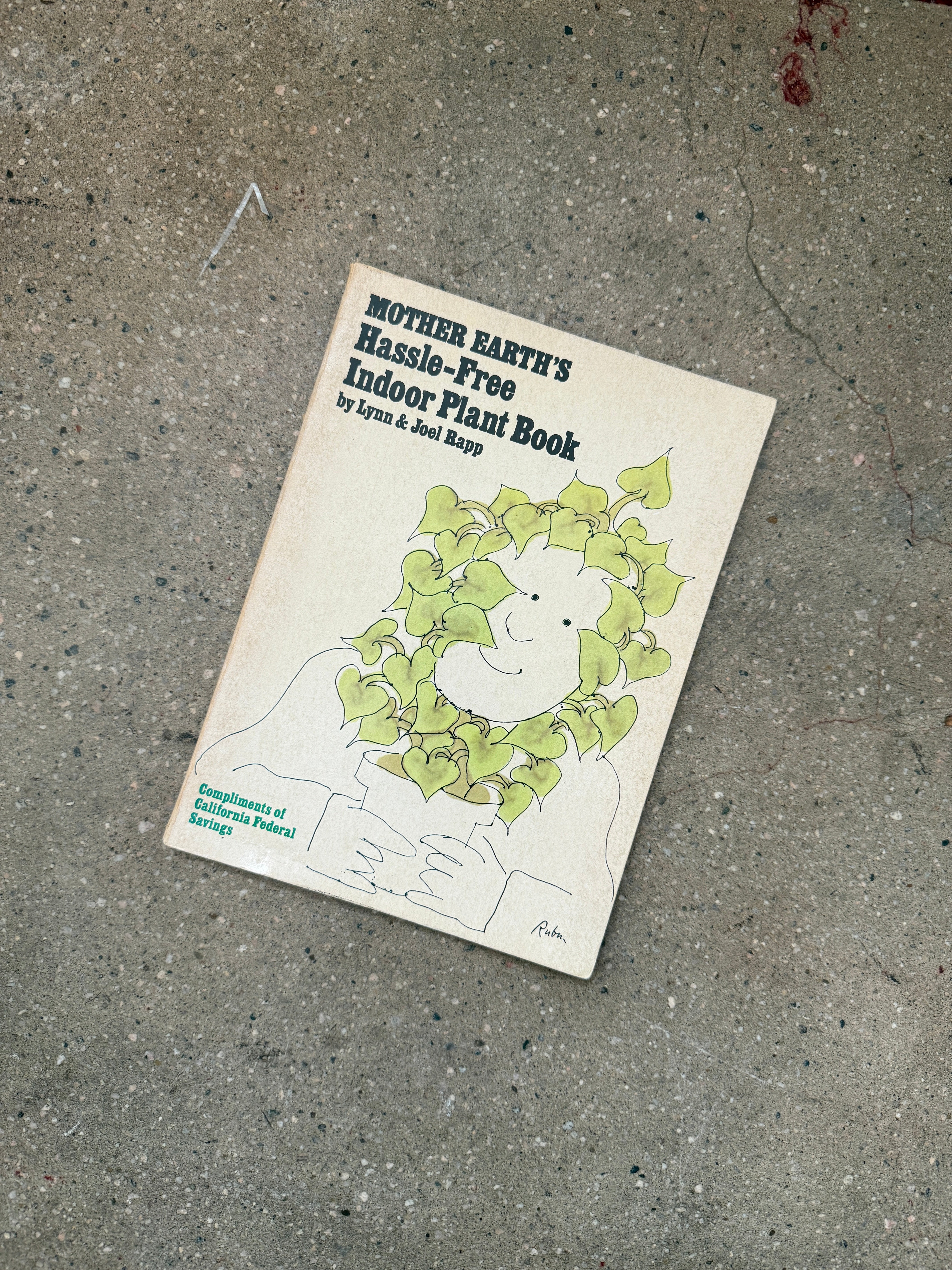 mother earth's hassle-free indoor plant book Mother Earth's Hassle-Free Indoor Plant Book by Lynn & Joel Rapp