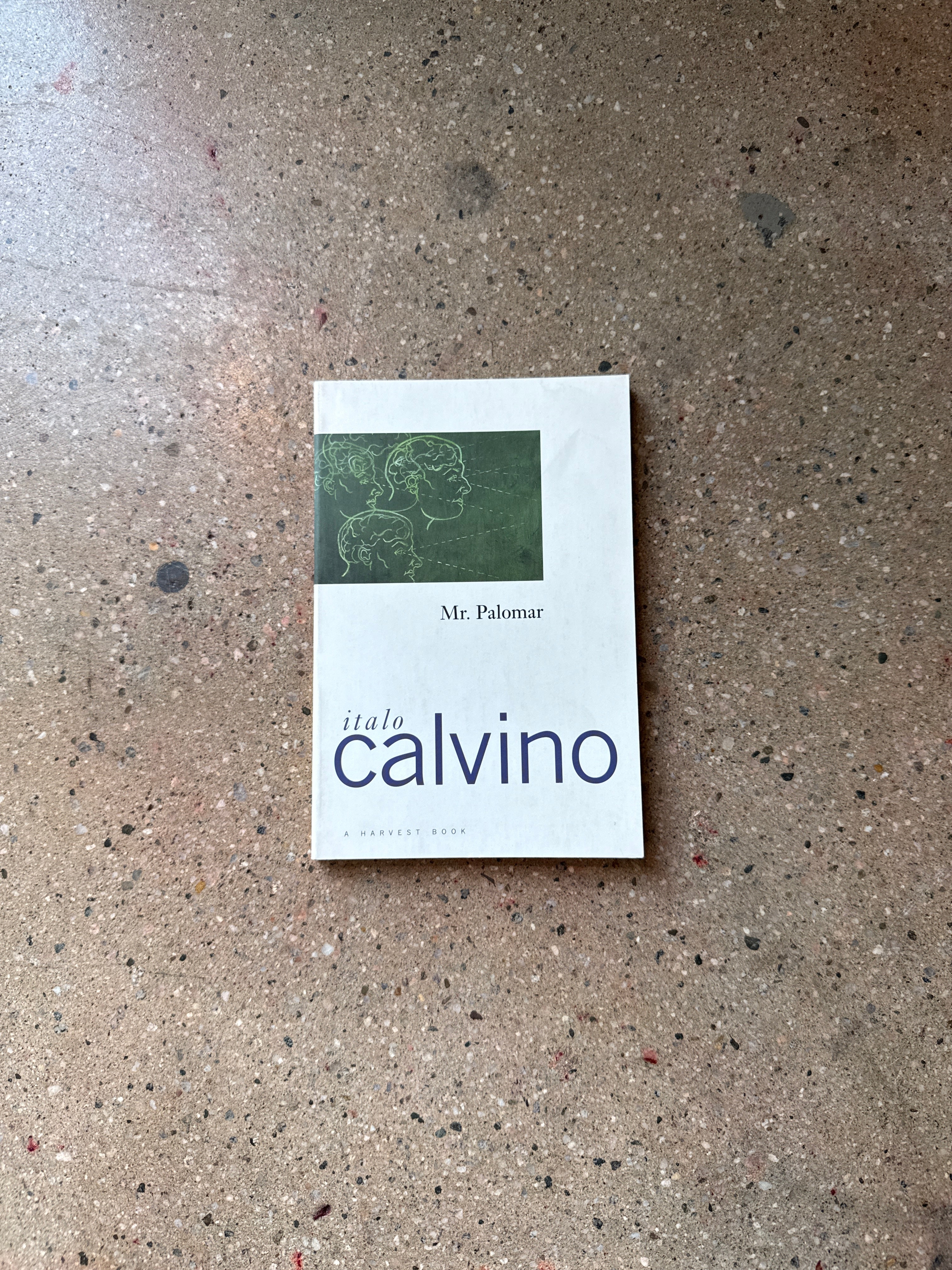Mr. Palomar by Italo Calvino (Harcourt Brace Trade)