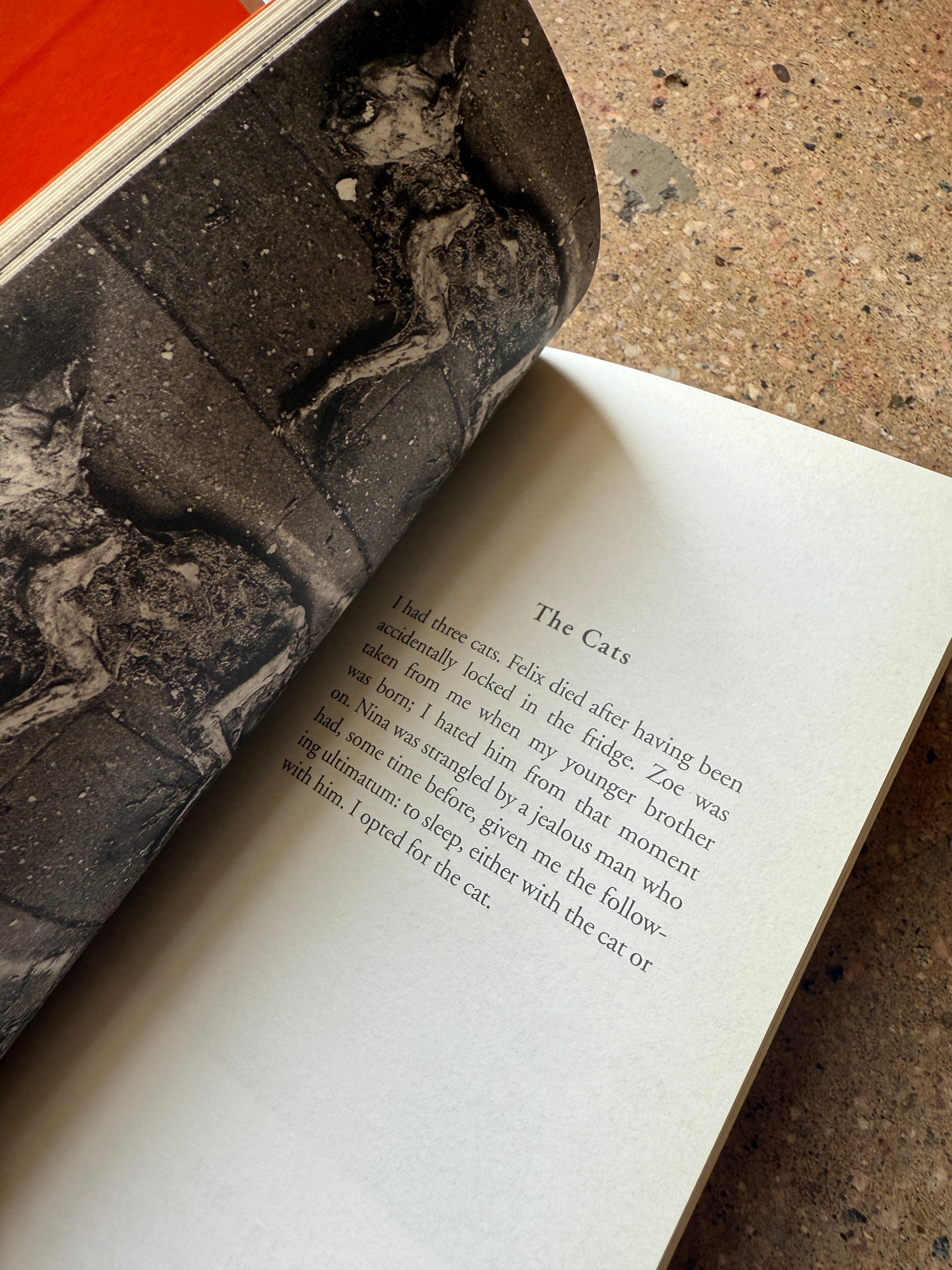 True Stories by Sophie Calle – A Good Used Book