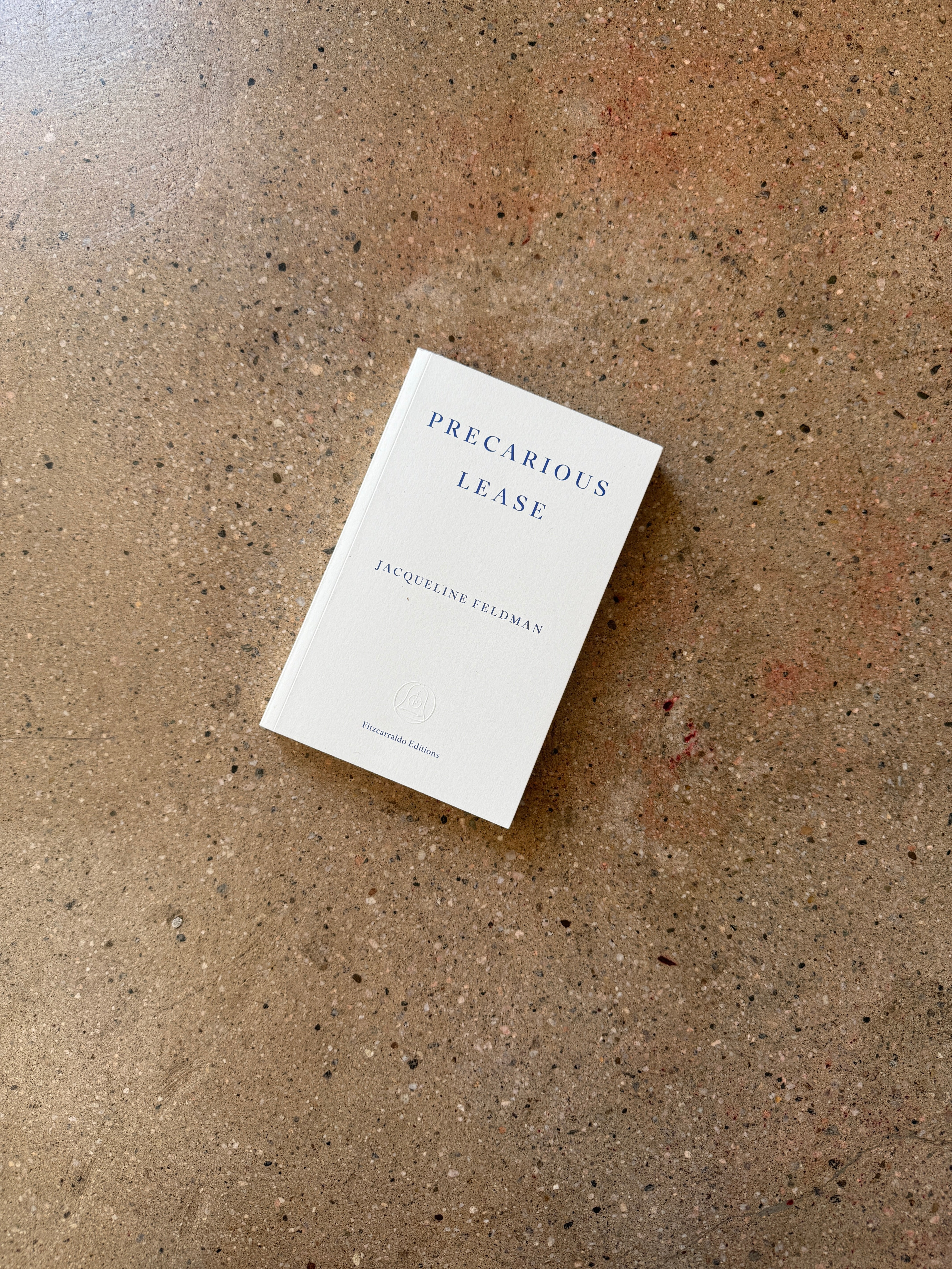 Precarious Lease by Jacqueline Feldman
