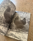 100 photographs which are not photographs of horses by Claude Closky