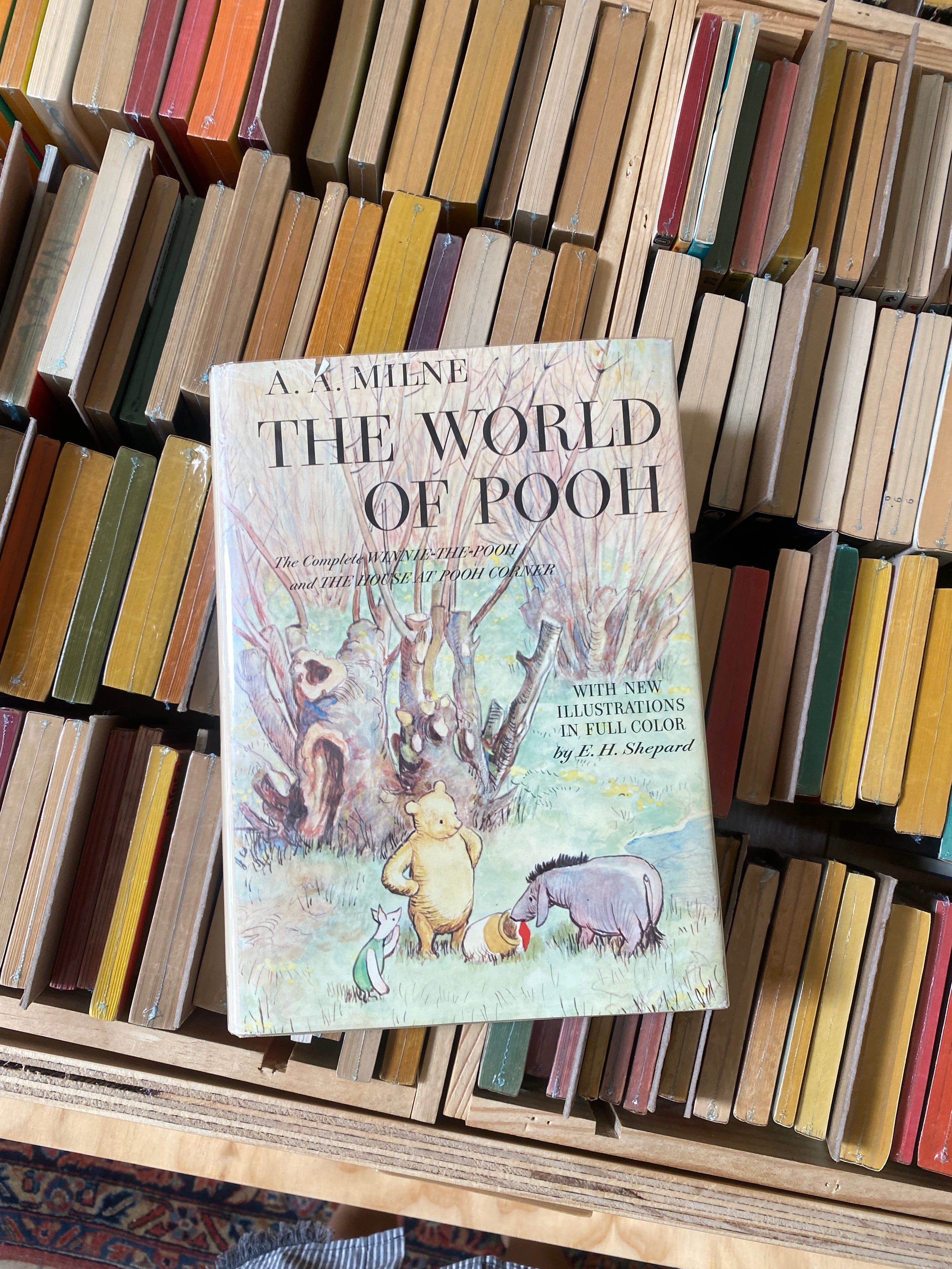 The World of Pooh by A.A. Milne (1st Edition E.P. Dutton Hardcover)