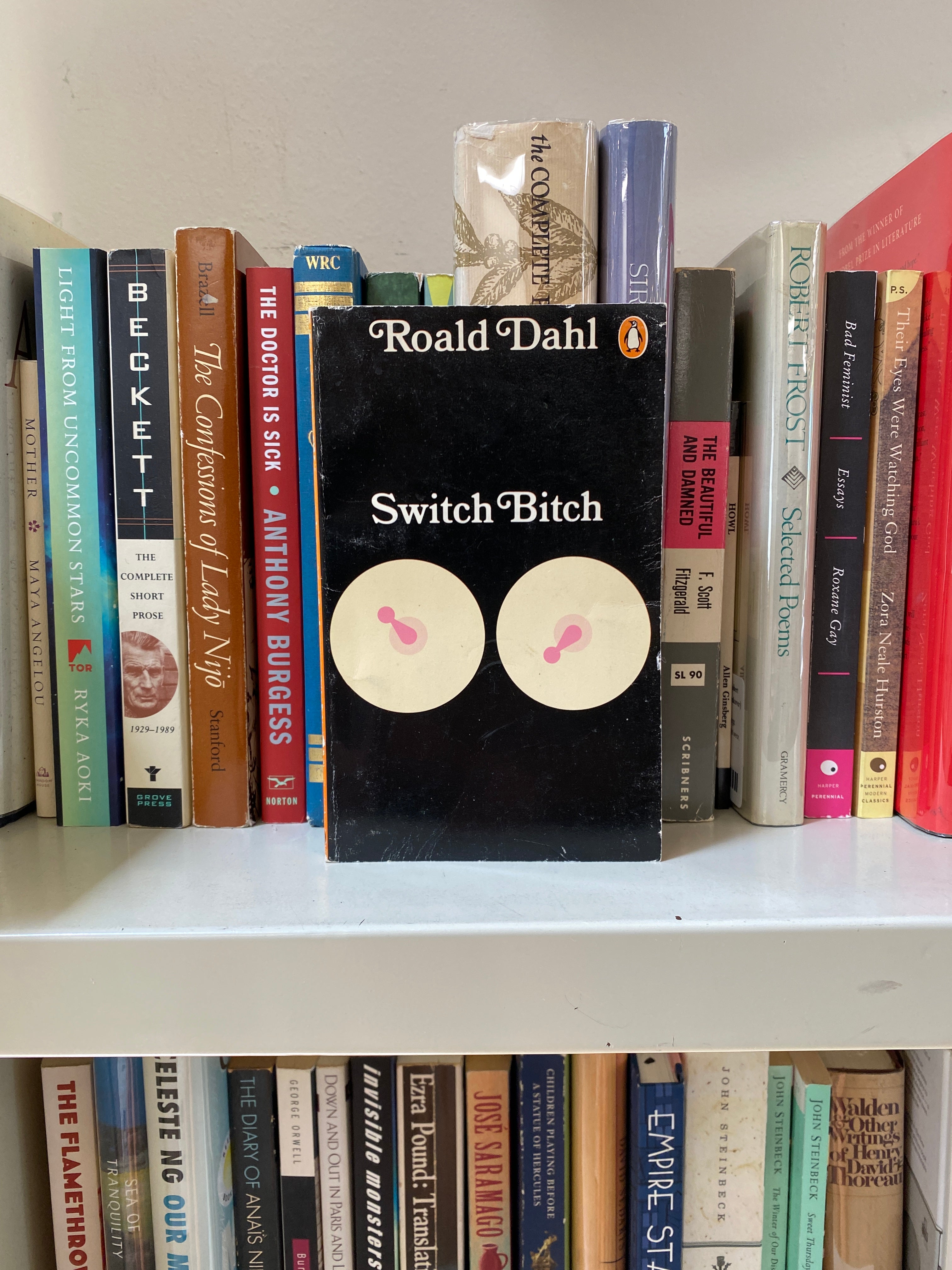 Switch Bitch by Roald Dahl (Penguin Trade)