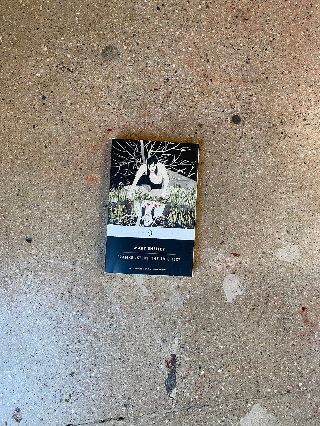 Frankenstein: The 1818 Text by Mary Shelley (Penguin Classics Trade). A friend and I have a theory that Frankenstein actually gets banned because Mary Shelley wrote mediocre men just a little too well. A Good Used Book is an independent bookstore selling New, Used and Vintage books. Bookseller based in Los Angeles, California. AAPI-Owned (Korean-American) Small Business. Used Books. New Books. 2018 Penguin Classics Classics SS20240926