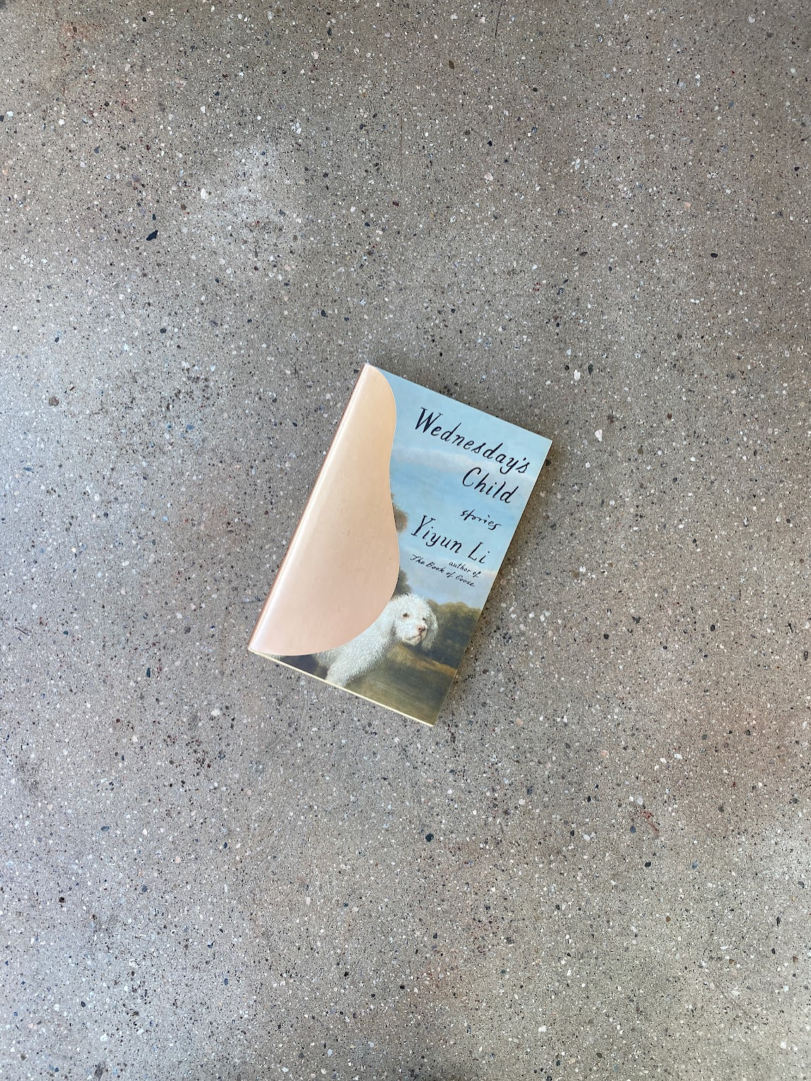 Wednesday&#39;s Child by Yiyun Li (Farrar, Straus and Giroux Hardcover). Yiyun Li spends much of this short story collection in close proximity to grief, which most people tend to avoid entirely. Be brave. Trust Li to somehow make it beautiful. A Good Used Book is an independent bookstore selling New, Used and Vintage books. Bookseller based in Los Angeles, California. AAPI-Owned (Korean-American) Small Business. Used Books. New Books. 2023 Farrar, Straus and Giroux Literature 