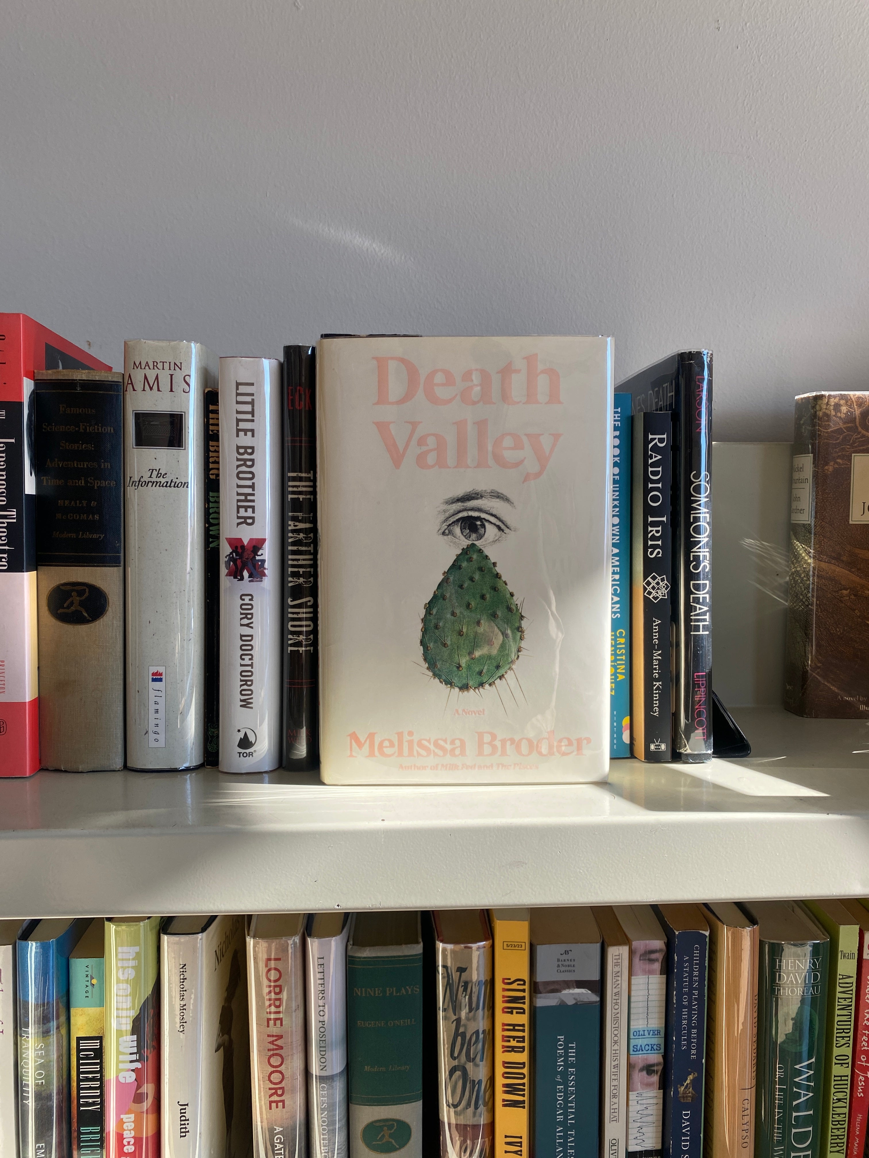 Death Valley by Melissa Broder (Scribner Hardcover)