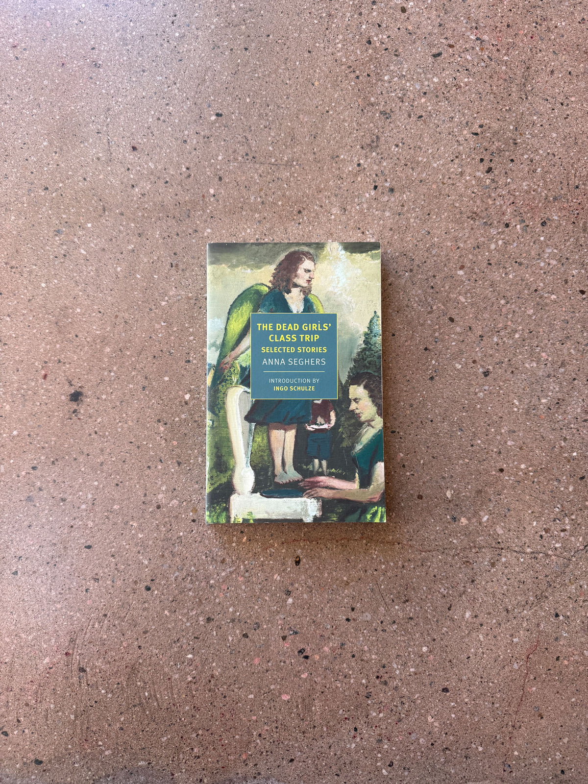 The Dead Girls' Class Trip by Anna Seghers
