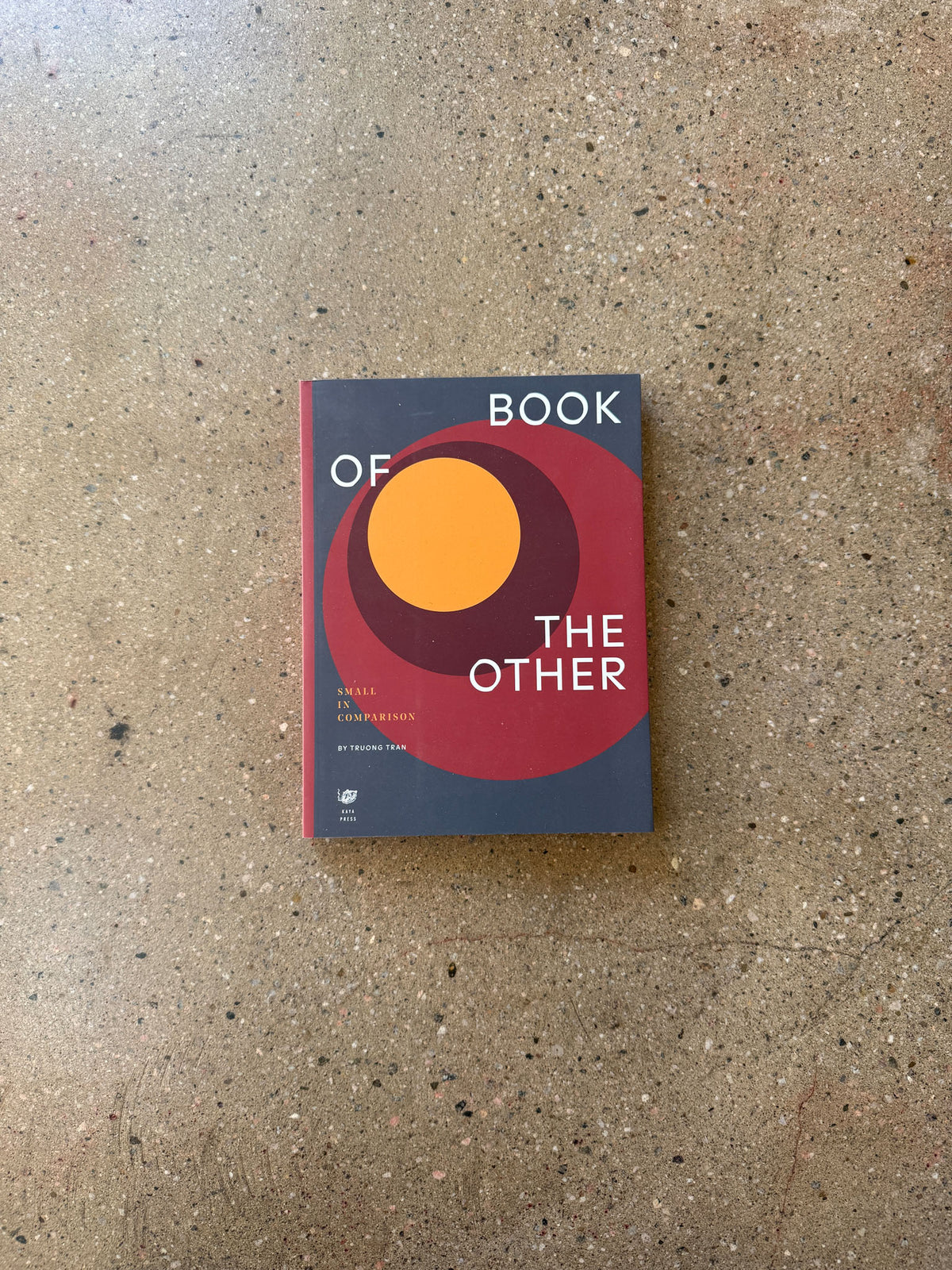 Book of the Other by Truong Tran @kayapress
