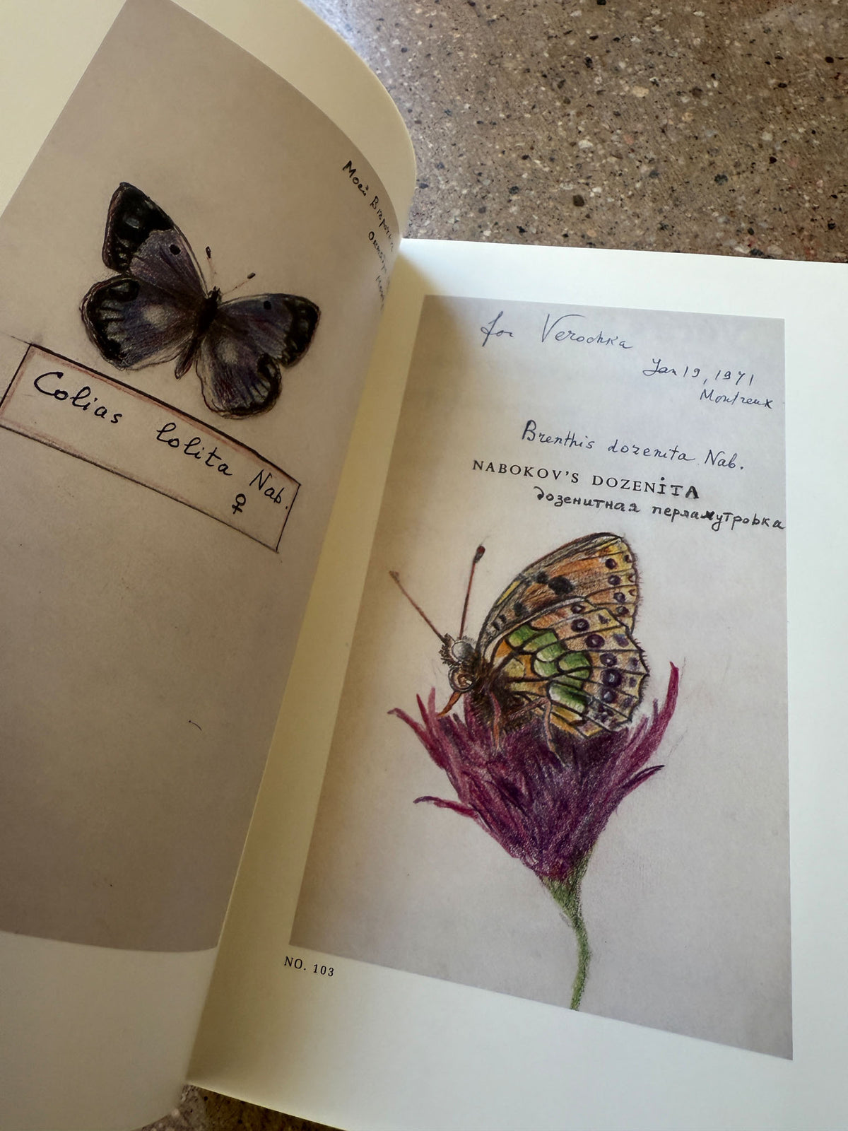 Vera's Butterflies by Glenn Horowitz Bookseller