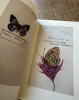 Vera's Butterflies by Glenn Horowitz Bookseller