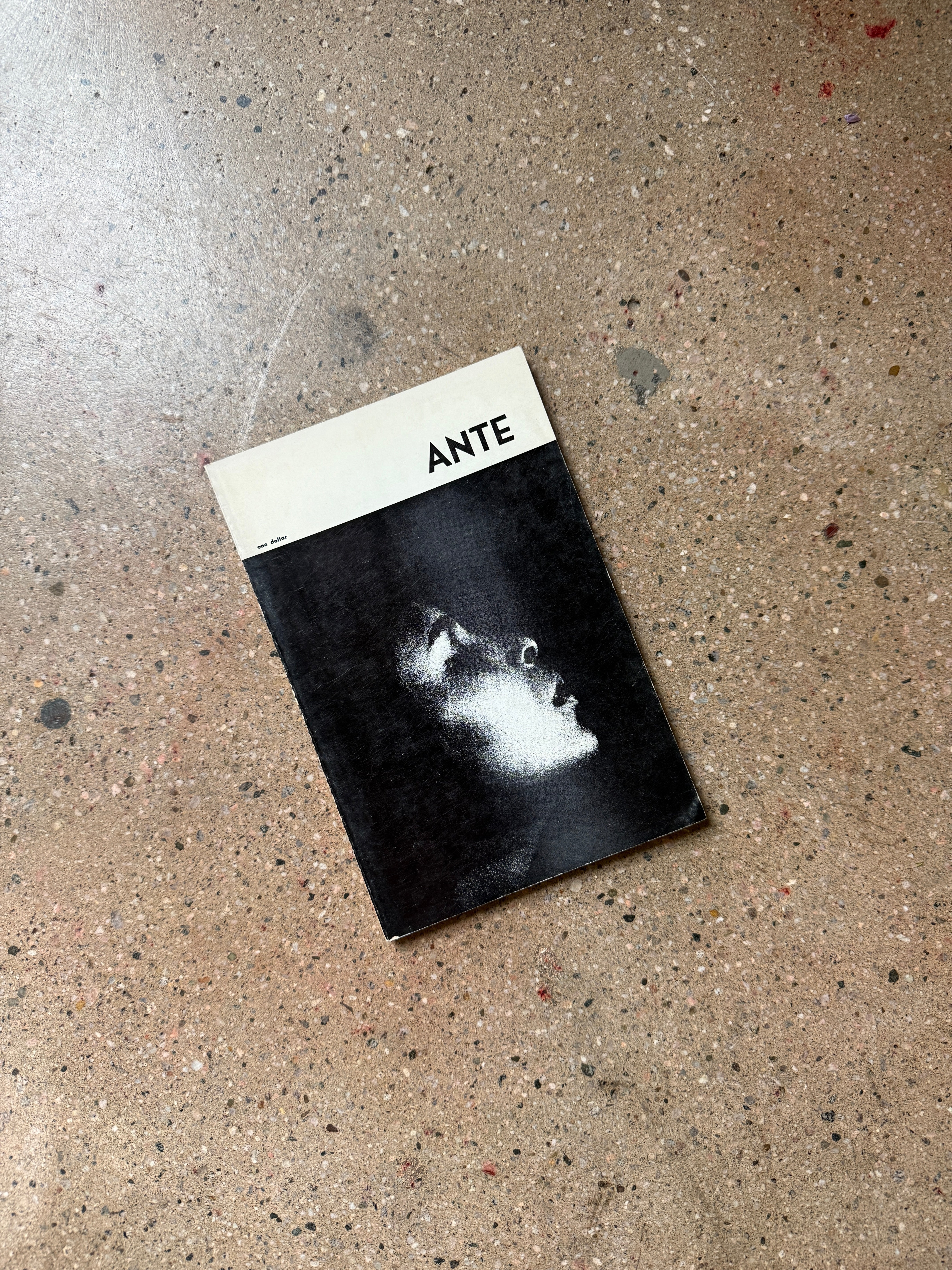 Ante: Volume 2, Number 3, Summer 1966 edited by Isabelle Ziegler
