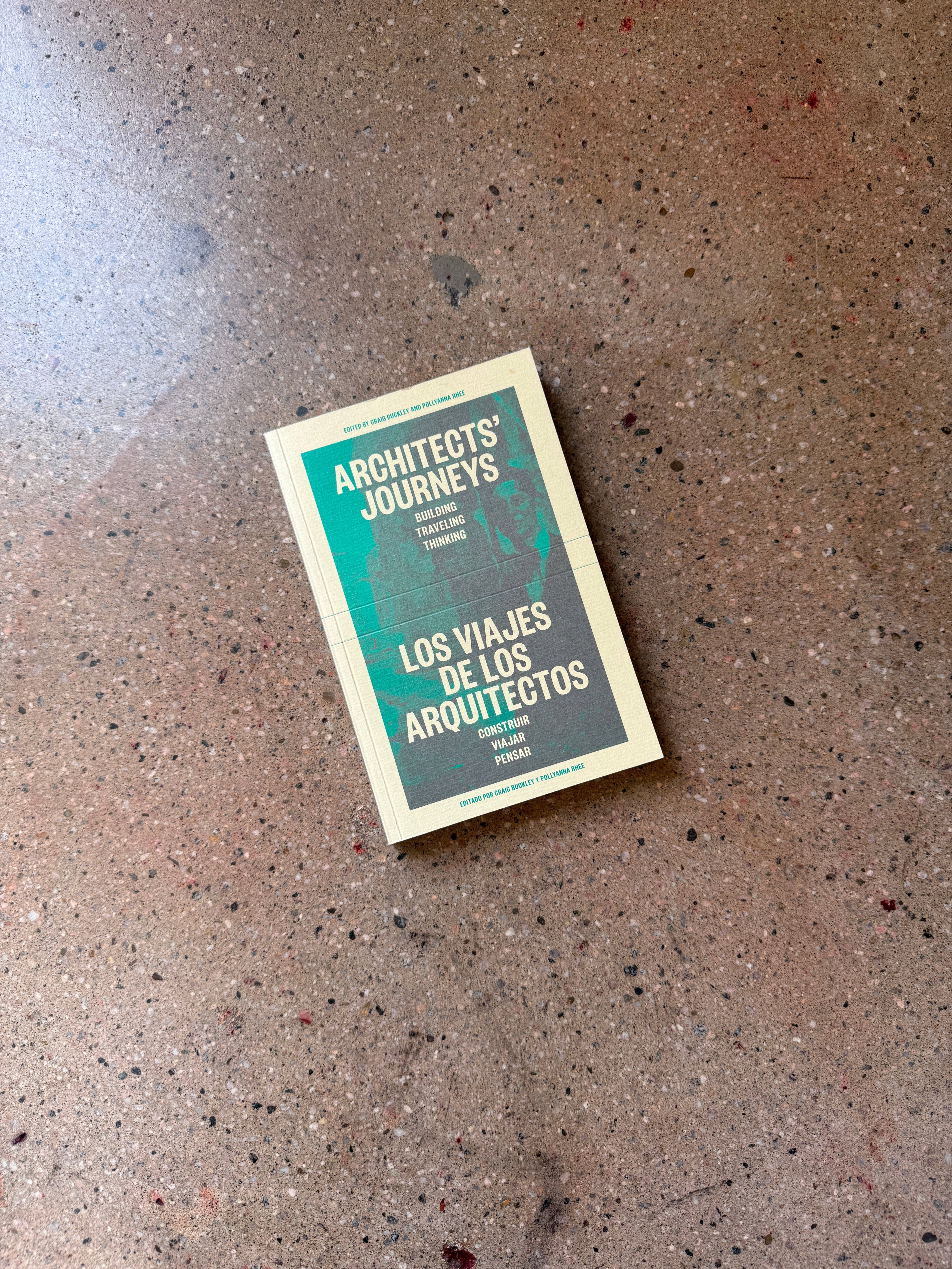 Architects' Journeys: Building, Traveling, Thinking edited by Craig Buckley