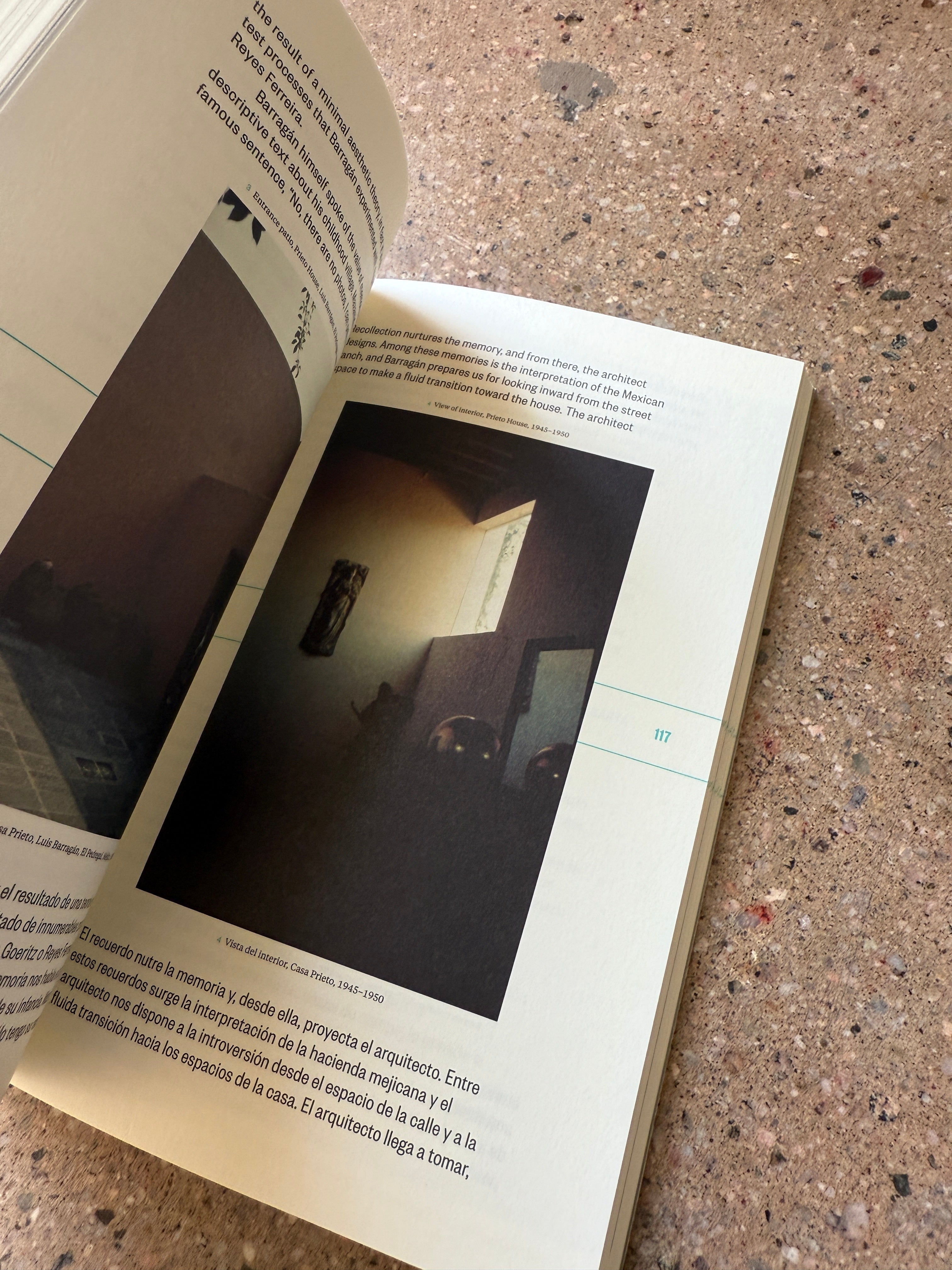 Architects' Journeys: Building, Traveling, Thinking edited by Craig Buckley