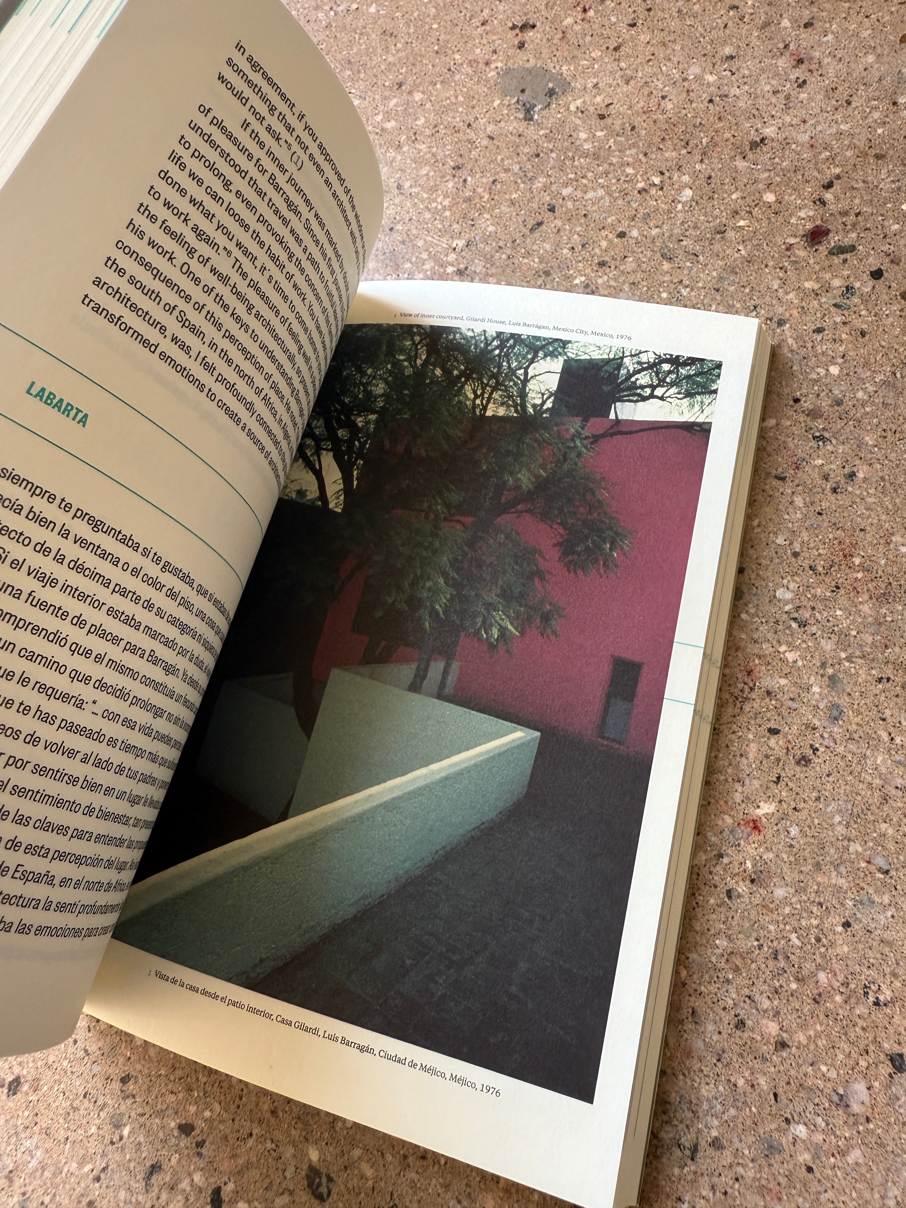 Architects' Journeys: Building, Traveling, Thinking edited by Craig Buckley