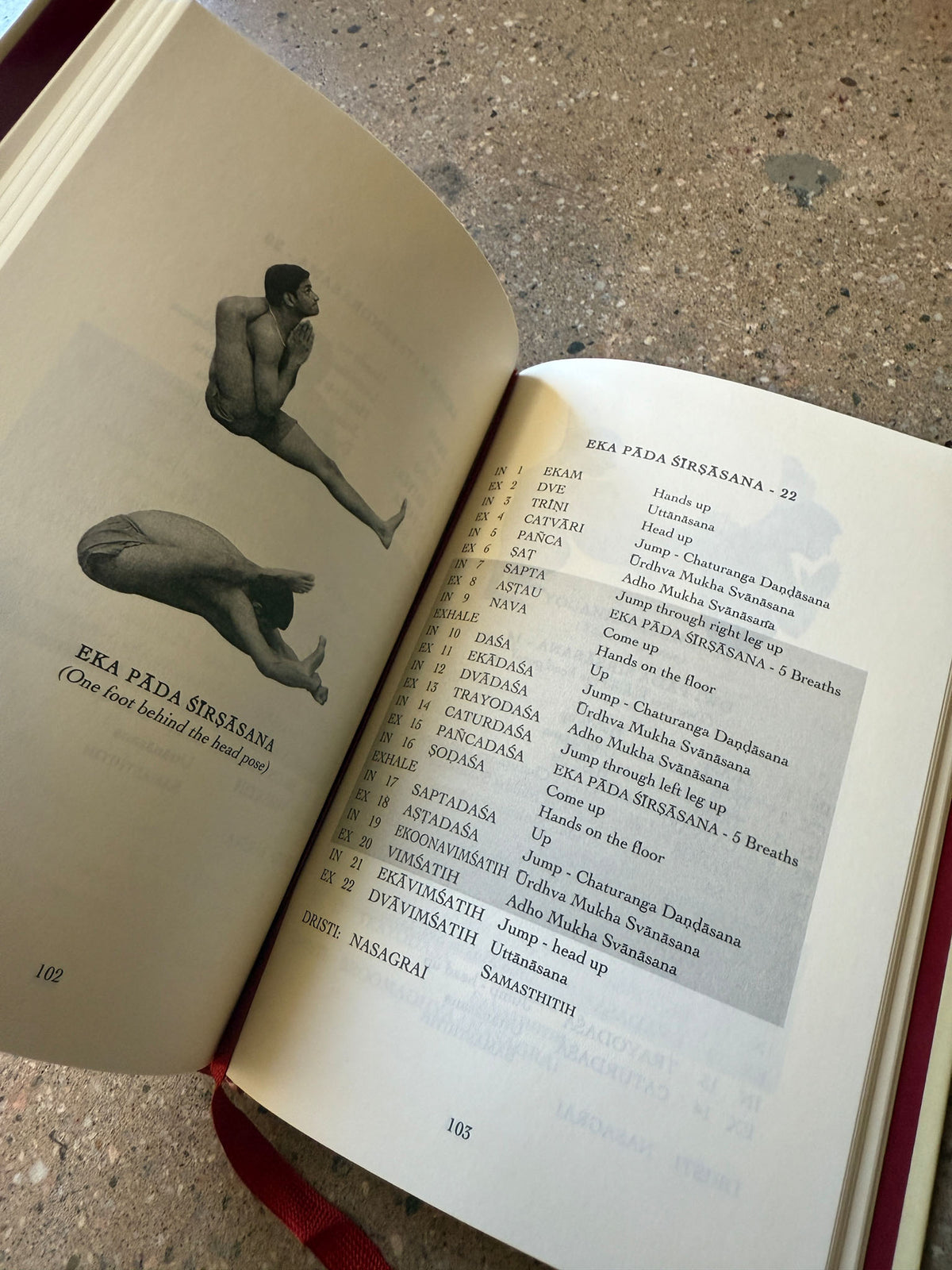 Astanga Yoga by Lino Miele