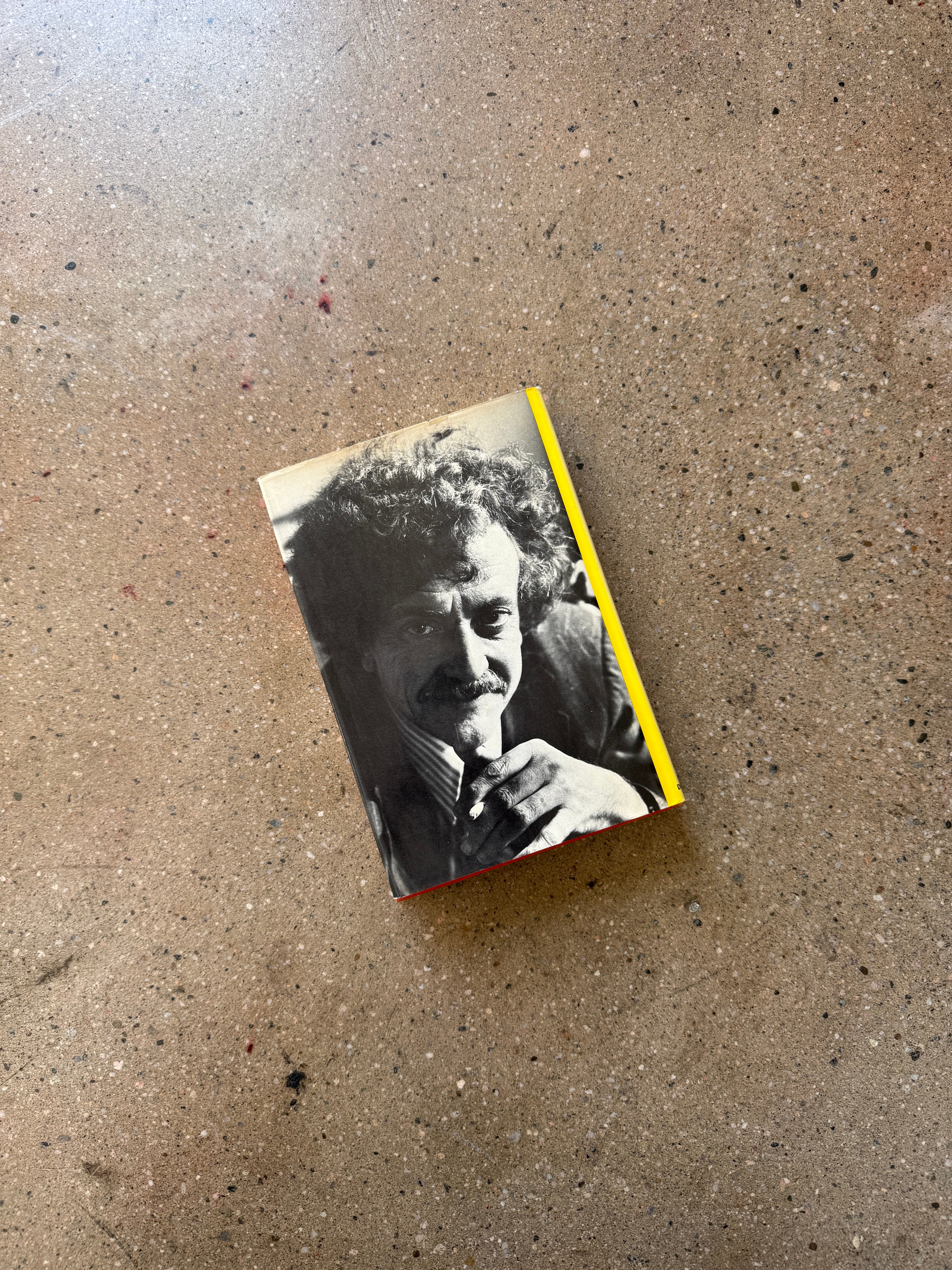 Breakfast of Champions by Kurt Vonnegut, Jr.