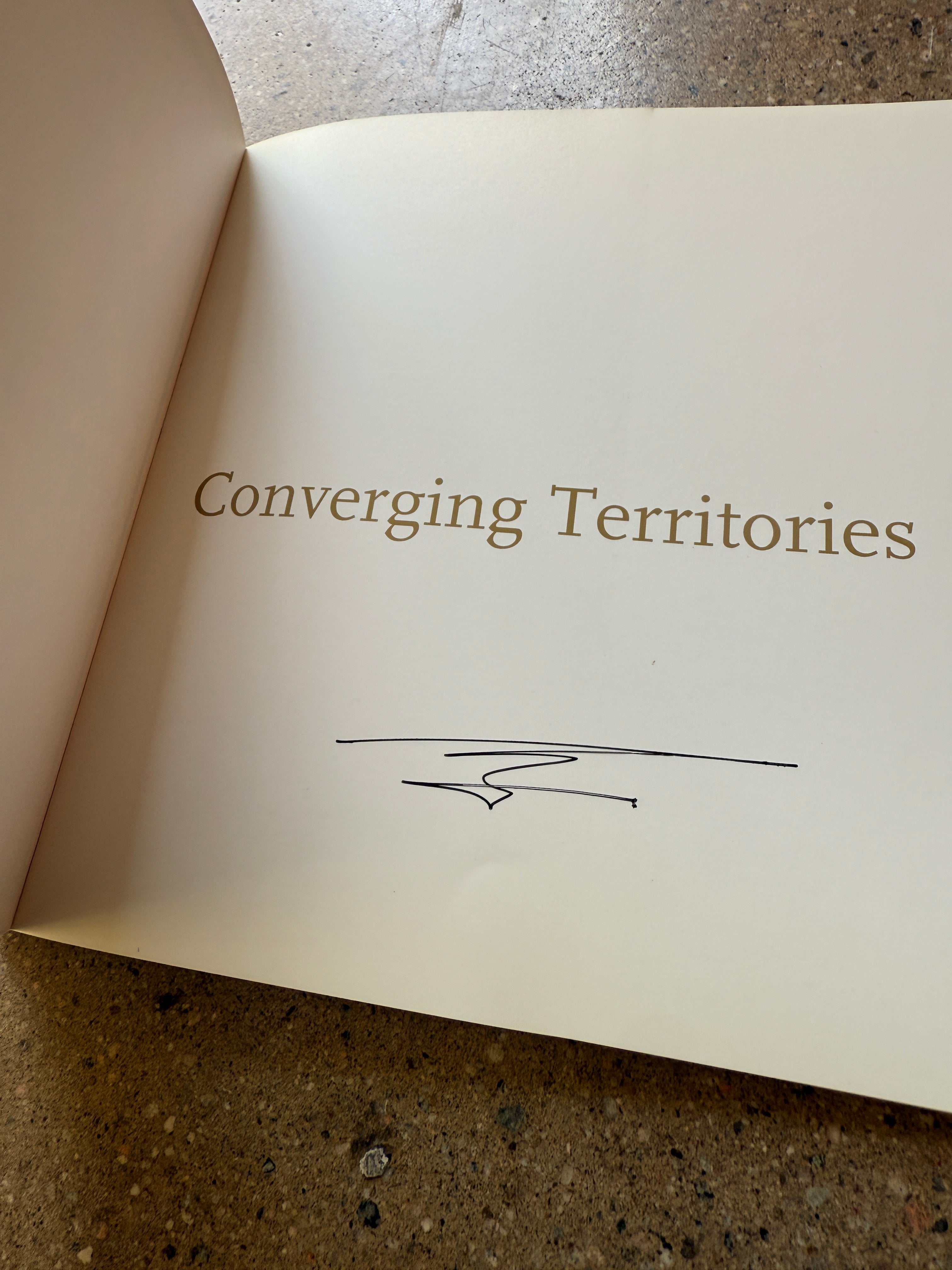 Converging Territories by Lalla Essaydi