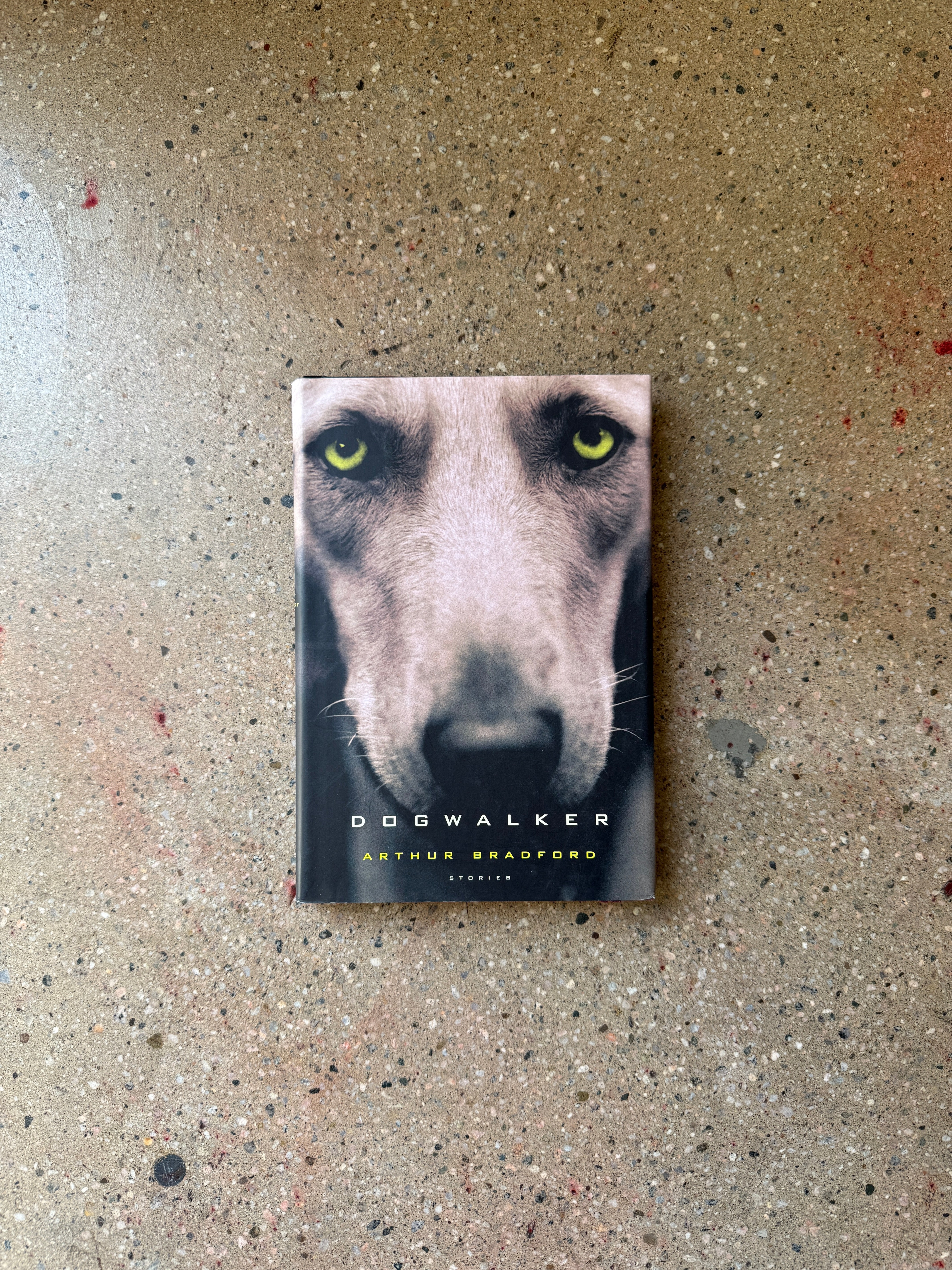 Dogwalker by Arthur Bradford (1st Printing Alfred A. Knopf Hardcover)