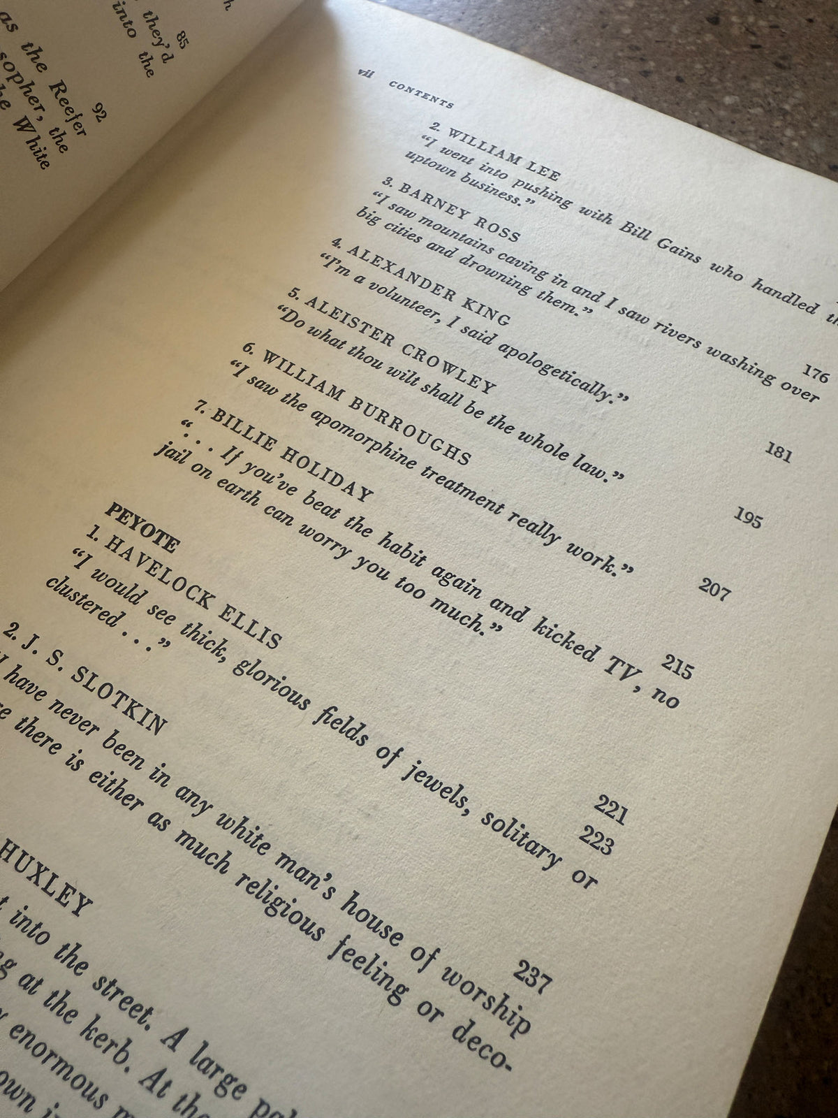 The Drug Experience edited by David Ebin
