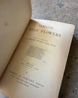 Familiar Wild Flowers by F. Edward Hulme