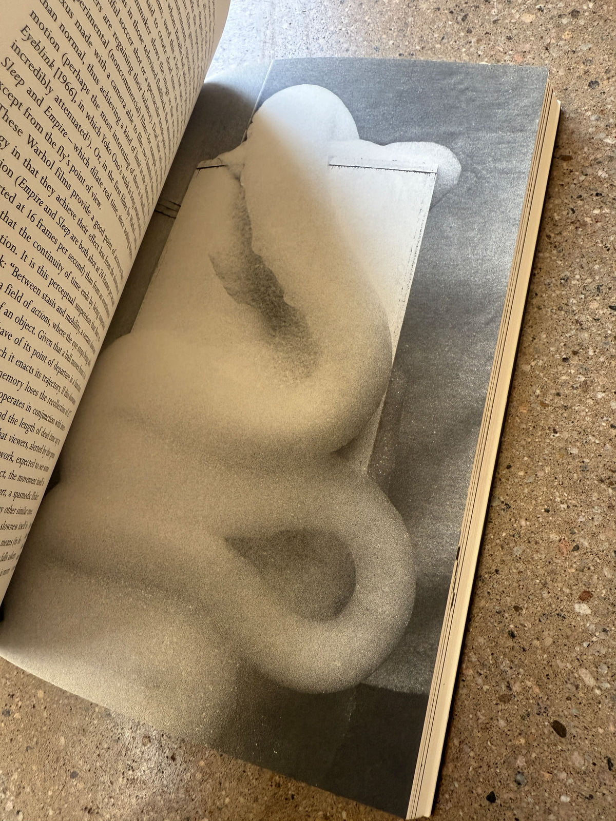 Formless: A User's Guide by Yve-Alain Bois and Rosalind E. Krauss