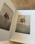 The Great Unreal by Taiyo Onorato