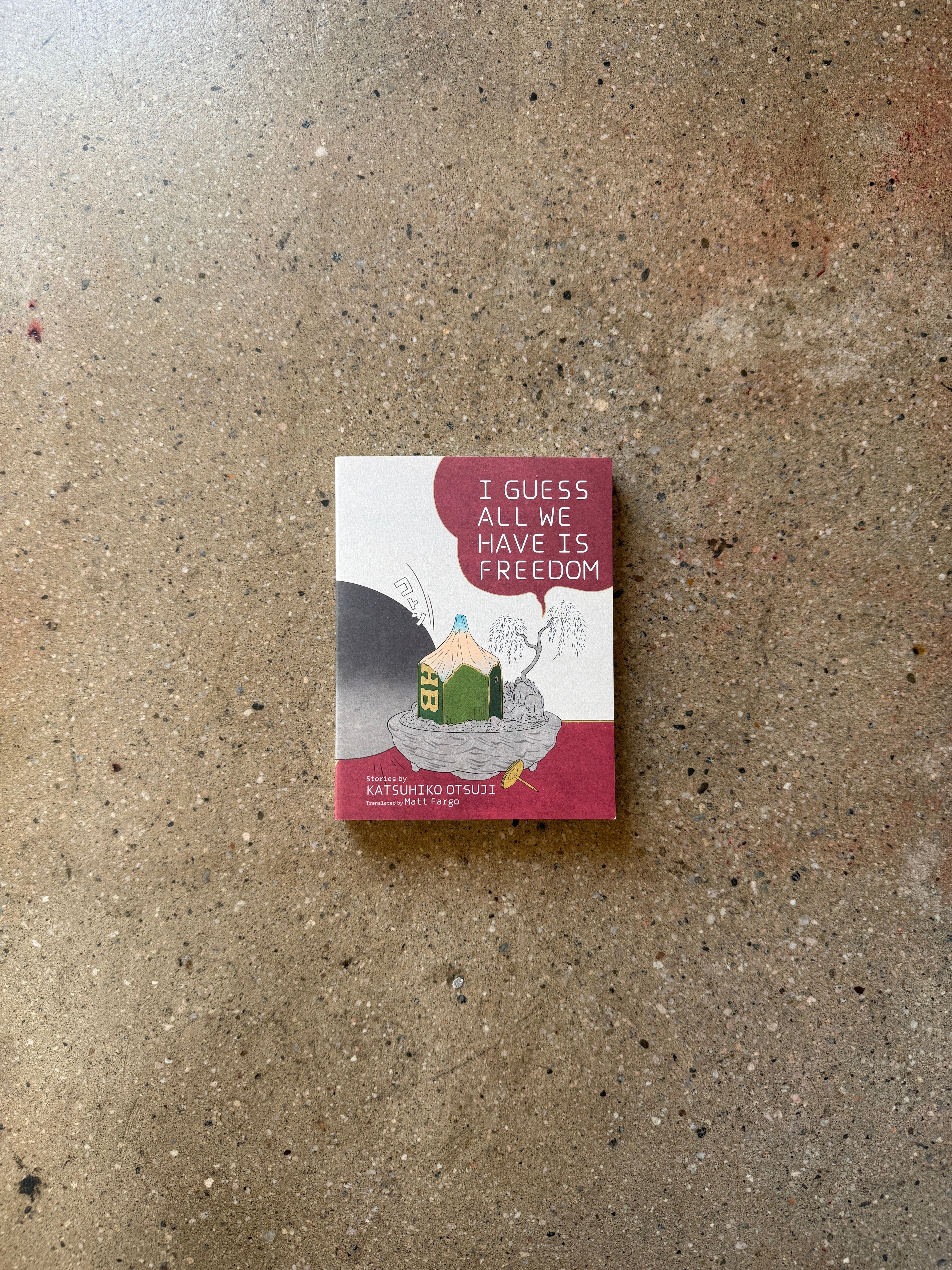 I Guess All We Have Is Freedom by Katsuhiko Otsuji @kayapress