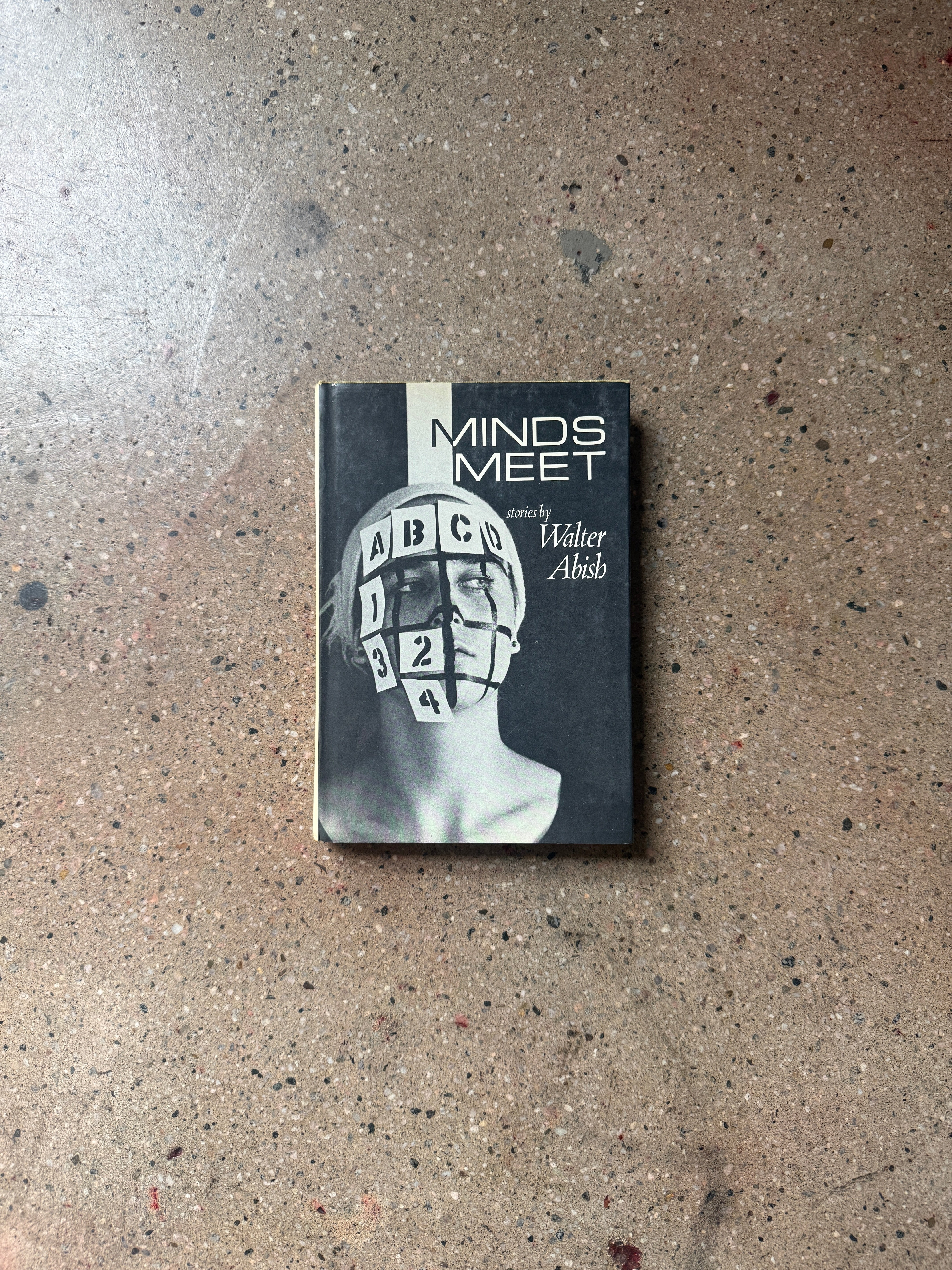 Minds Meet by Walter Abish