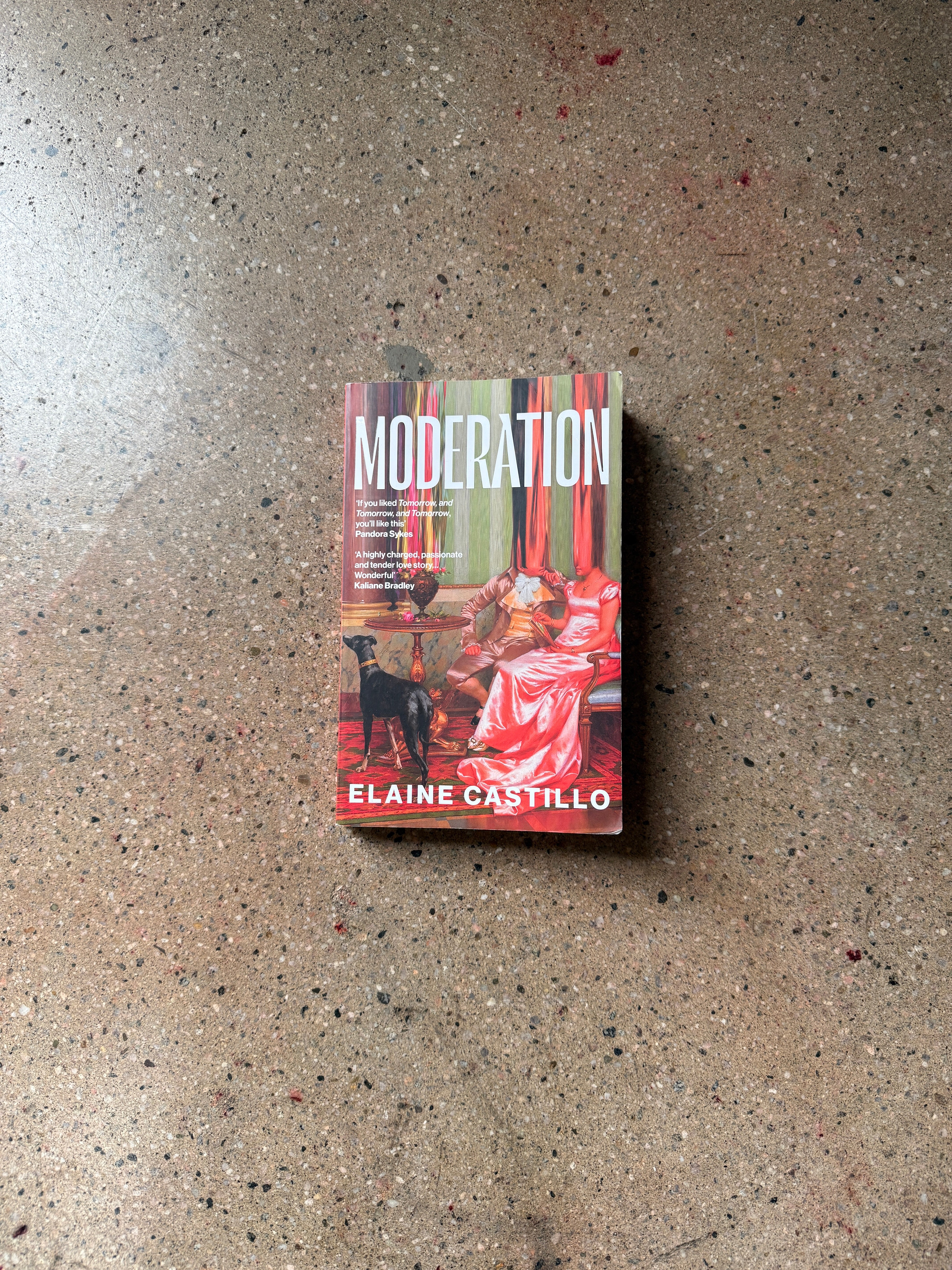 Moderation by Elaine Castillo