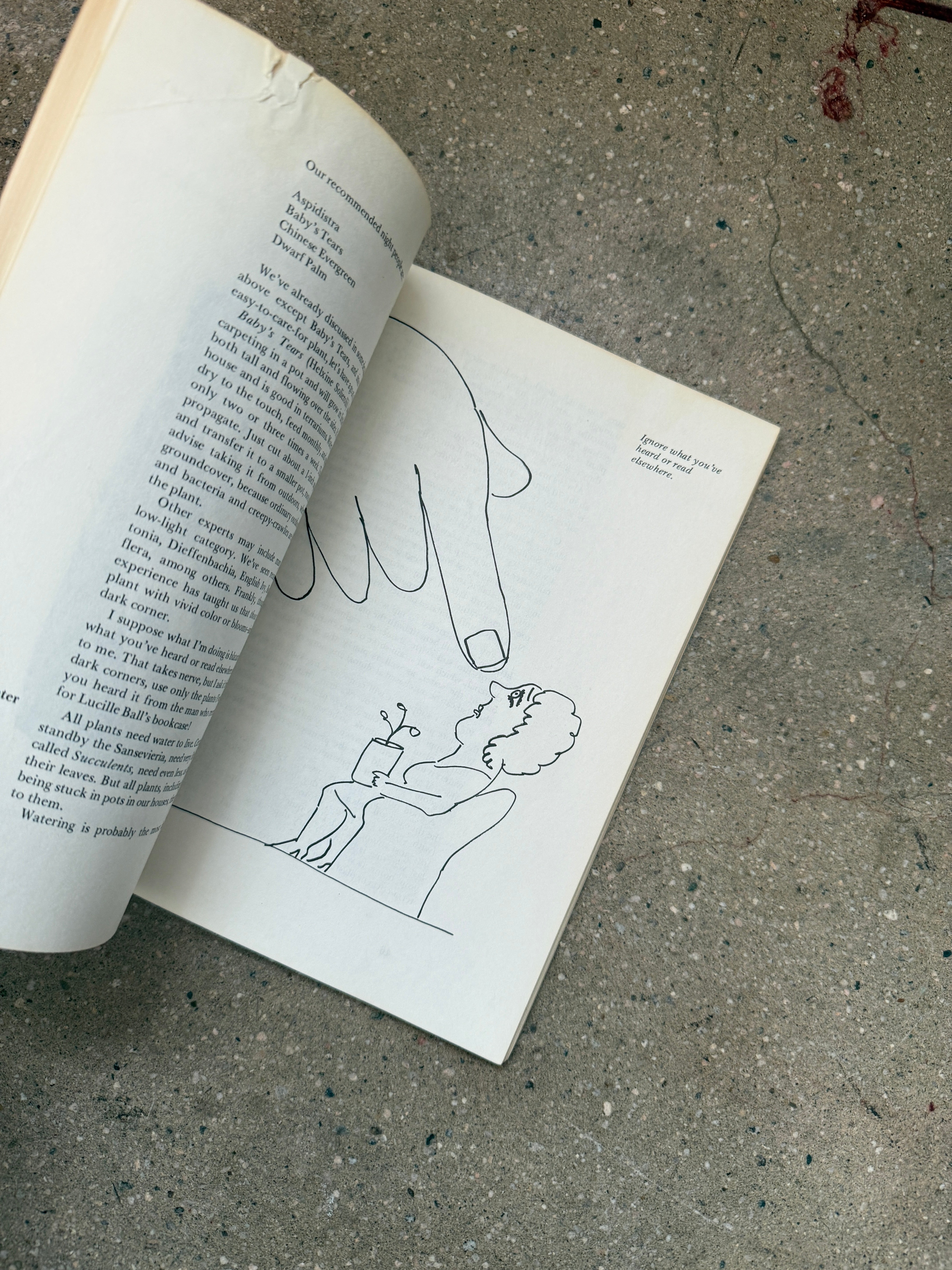 Mother Earth's Hassle-Free Indoor Plant Book by Lynn & Joel Rapp – A ...