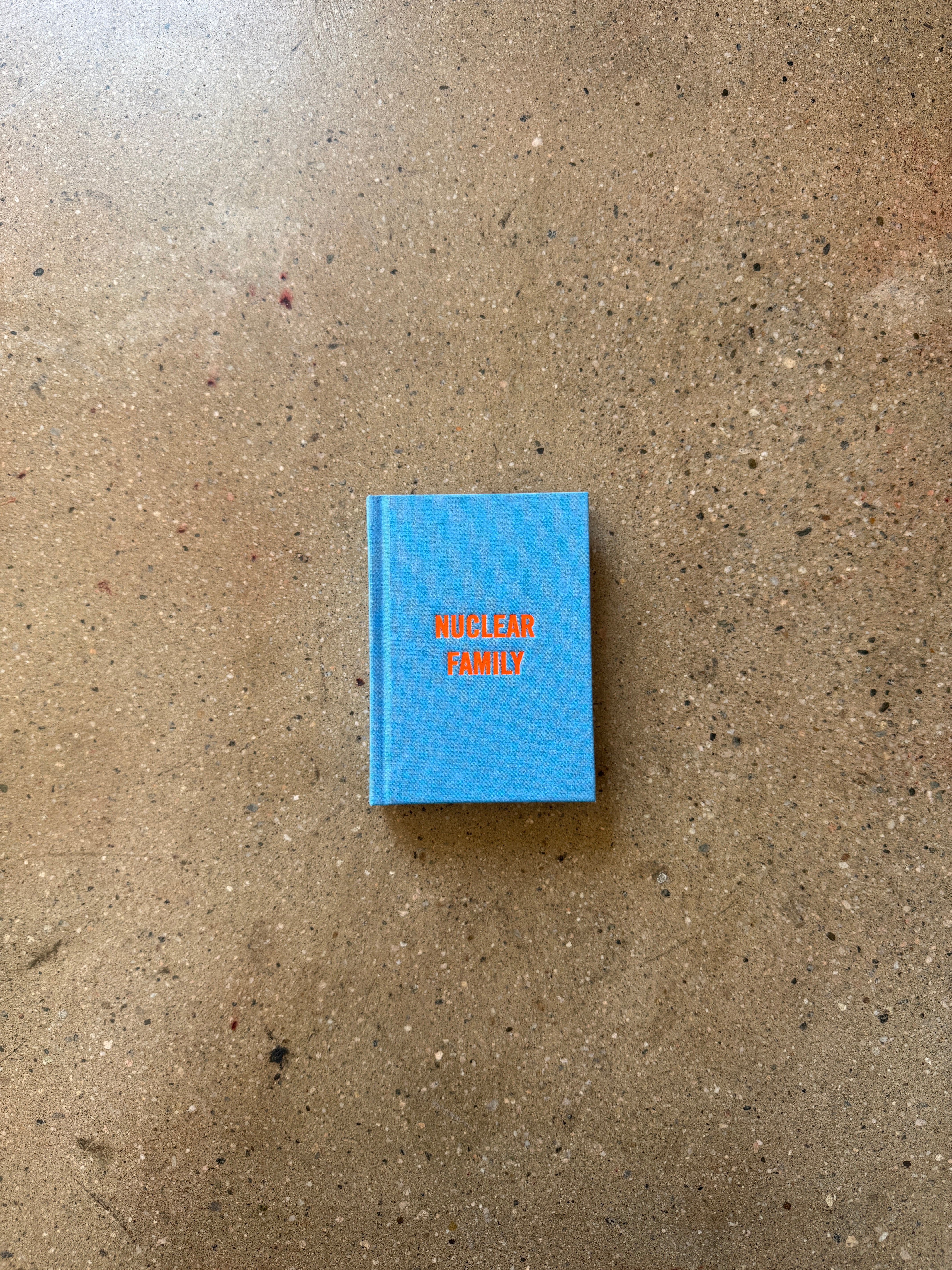 Nuclear Family by Kenny Schachter