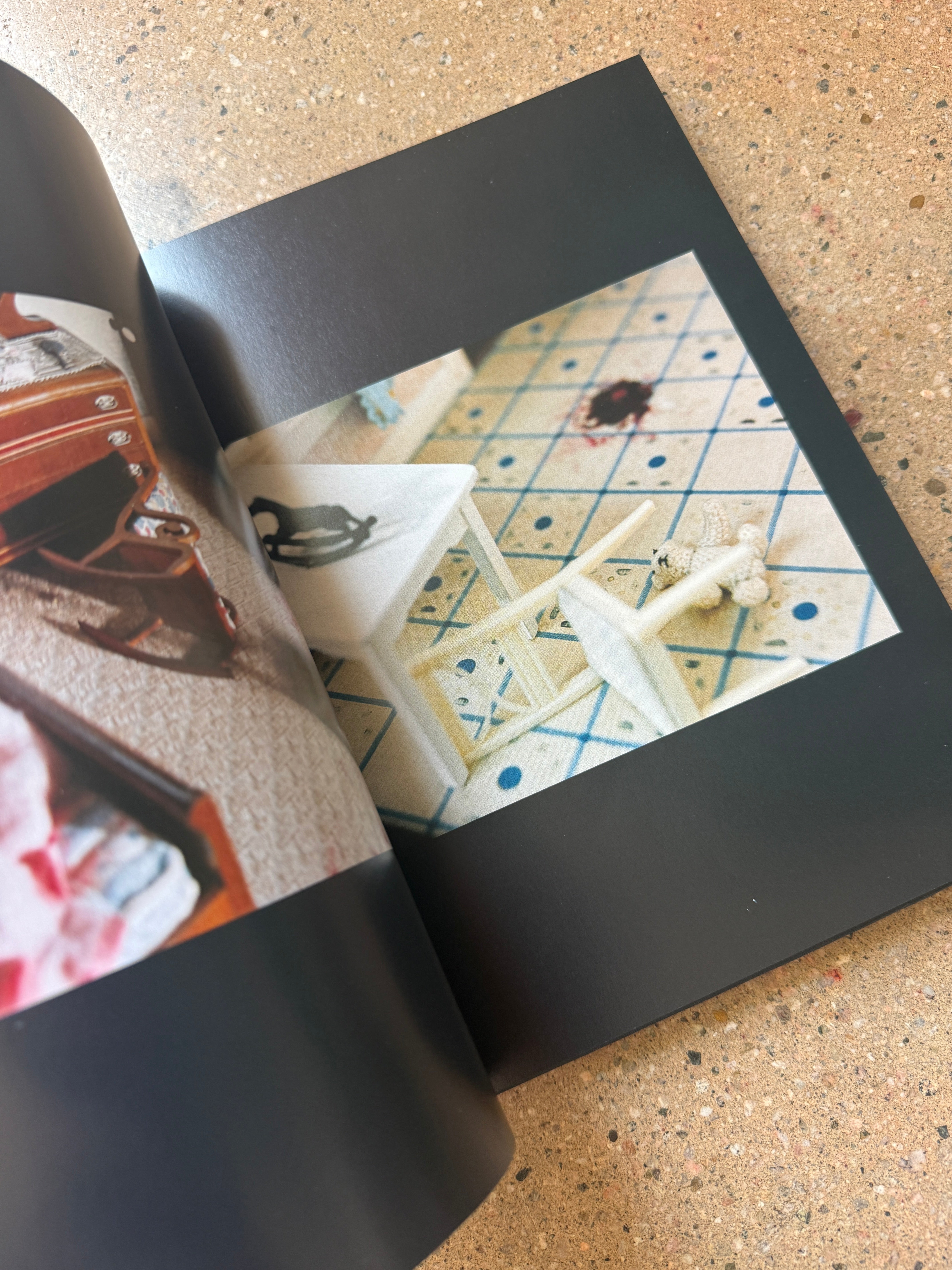 The Nutshell Studies of Unexplained Death by Corinne Botz