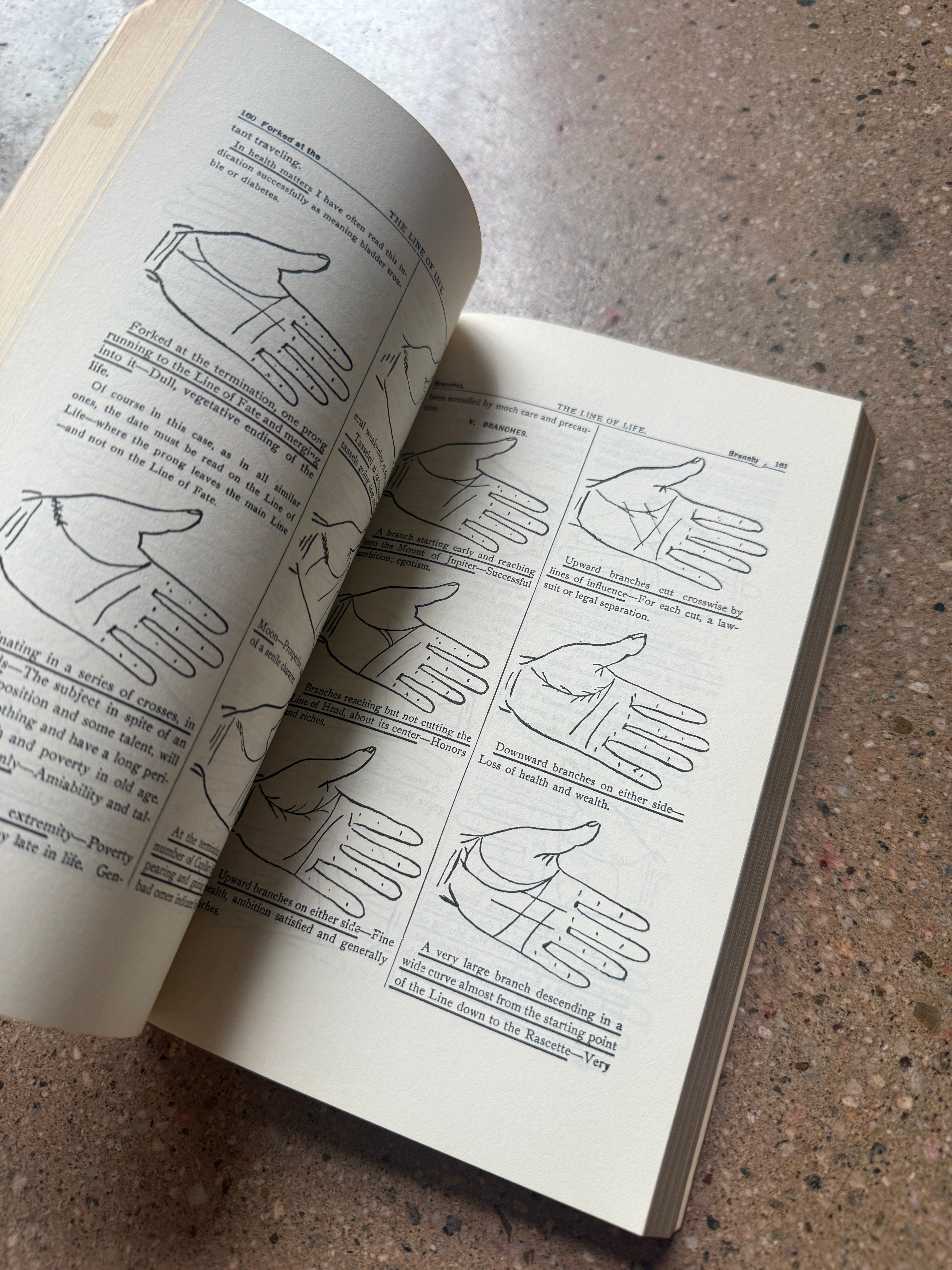 The Practice of Palmistry by Comte C. de Saint-Germain