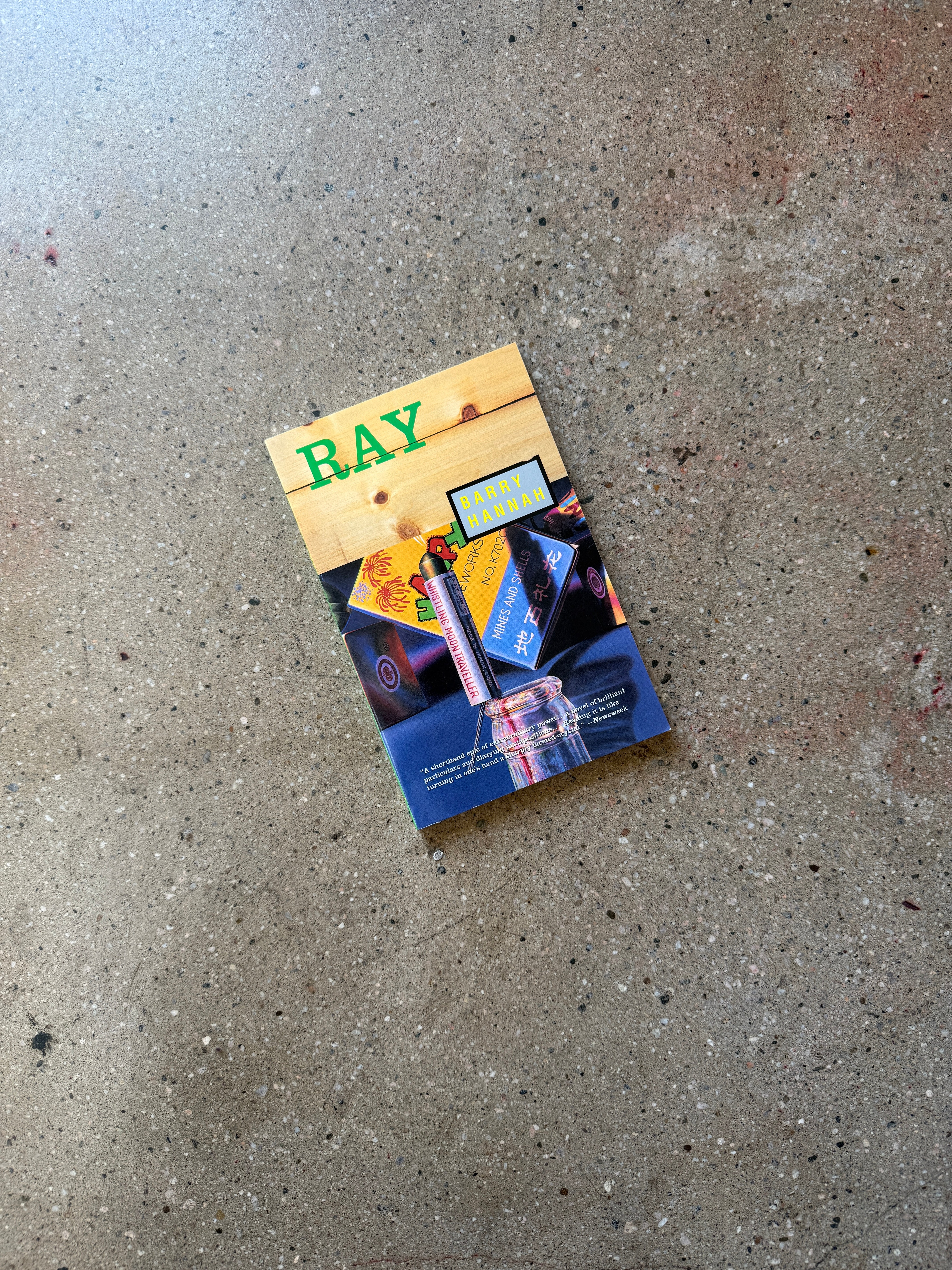 Ray by Barry Hannah