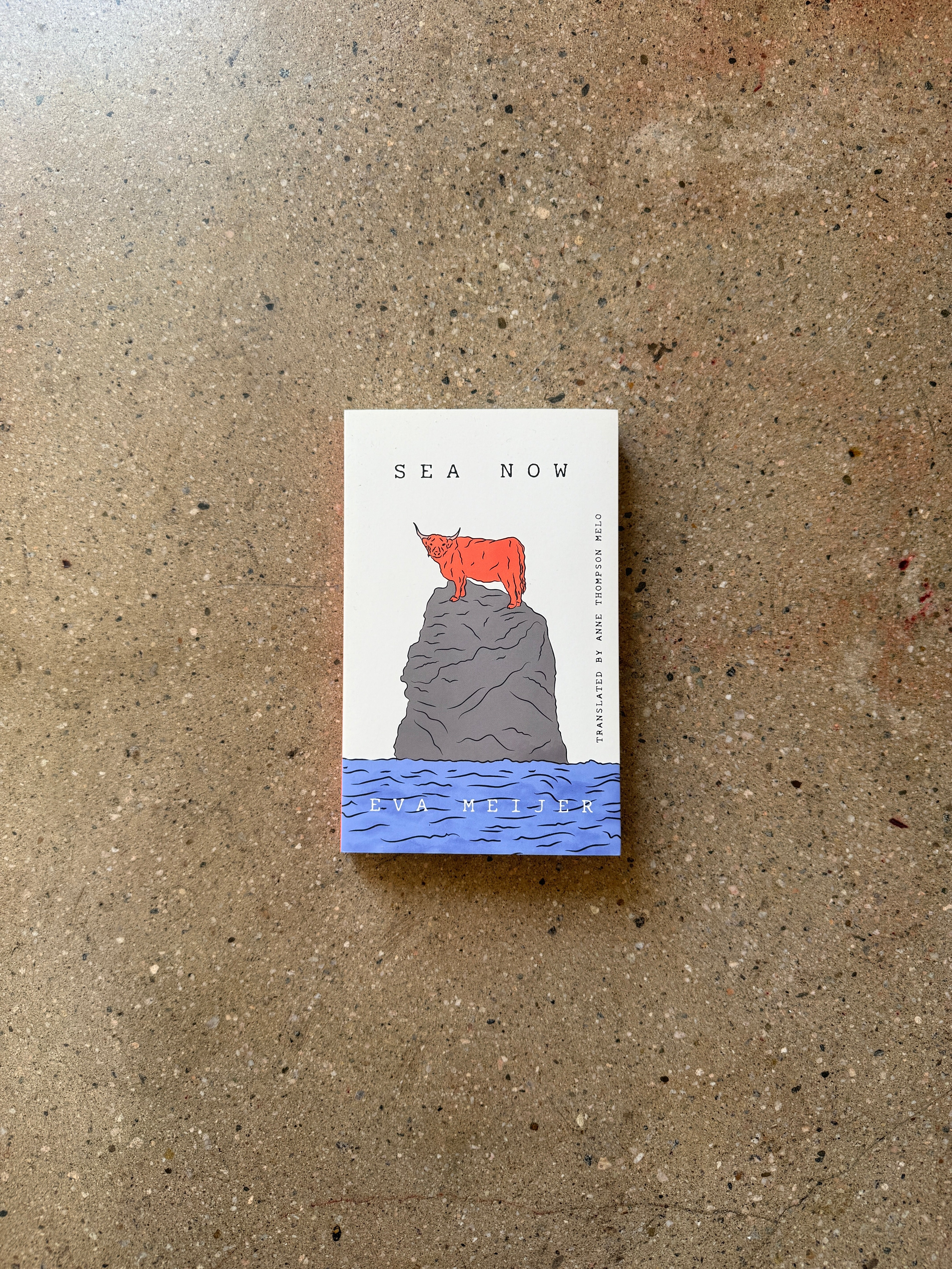 Sea Now by Eva Meijer
