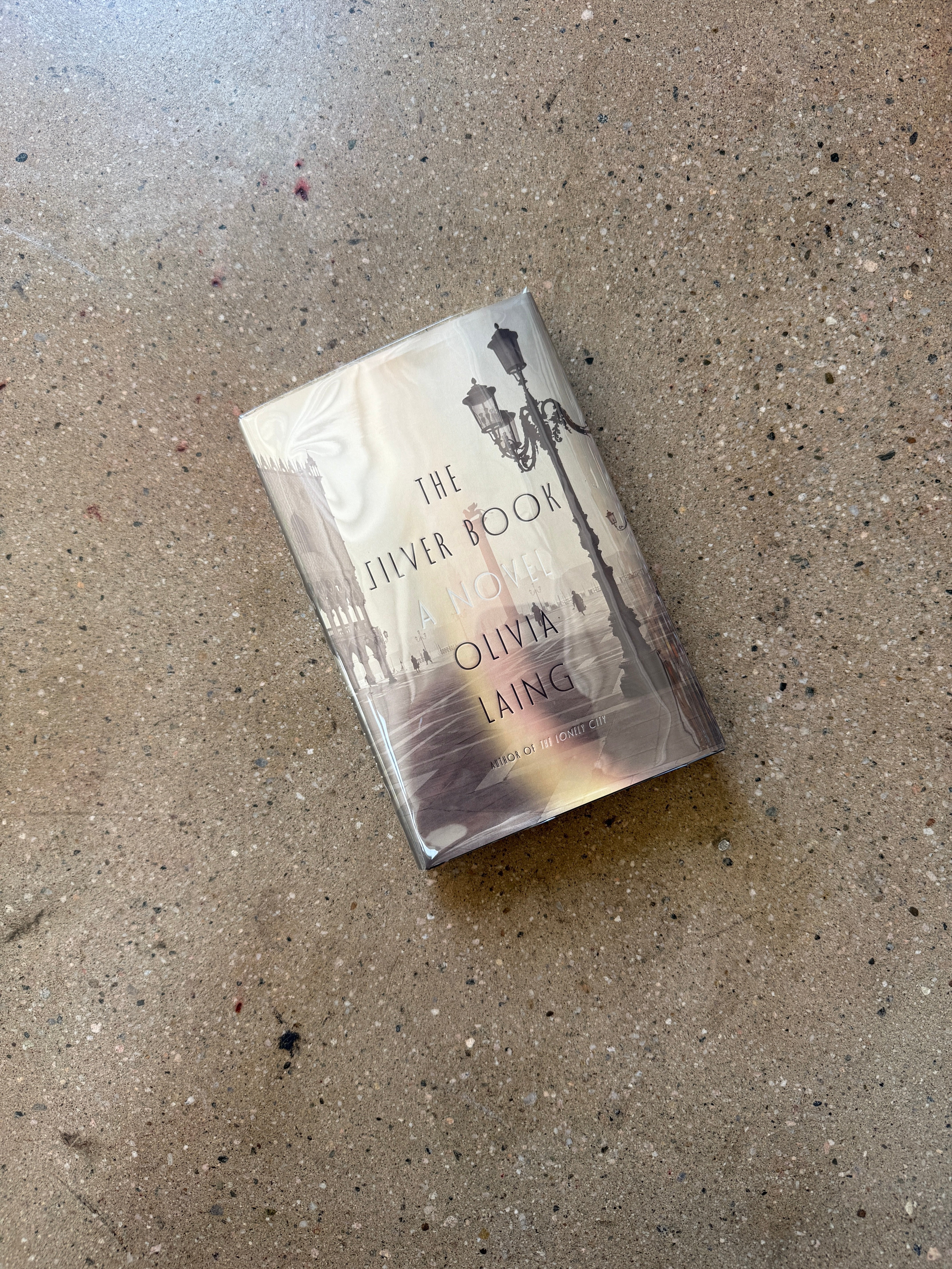 The Silver Book by Olivia Laing