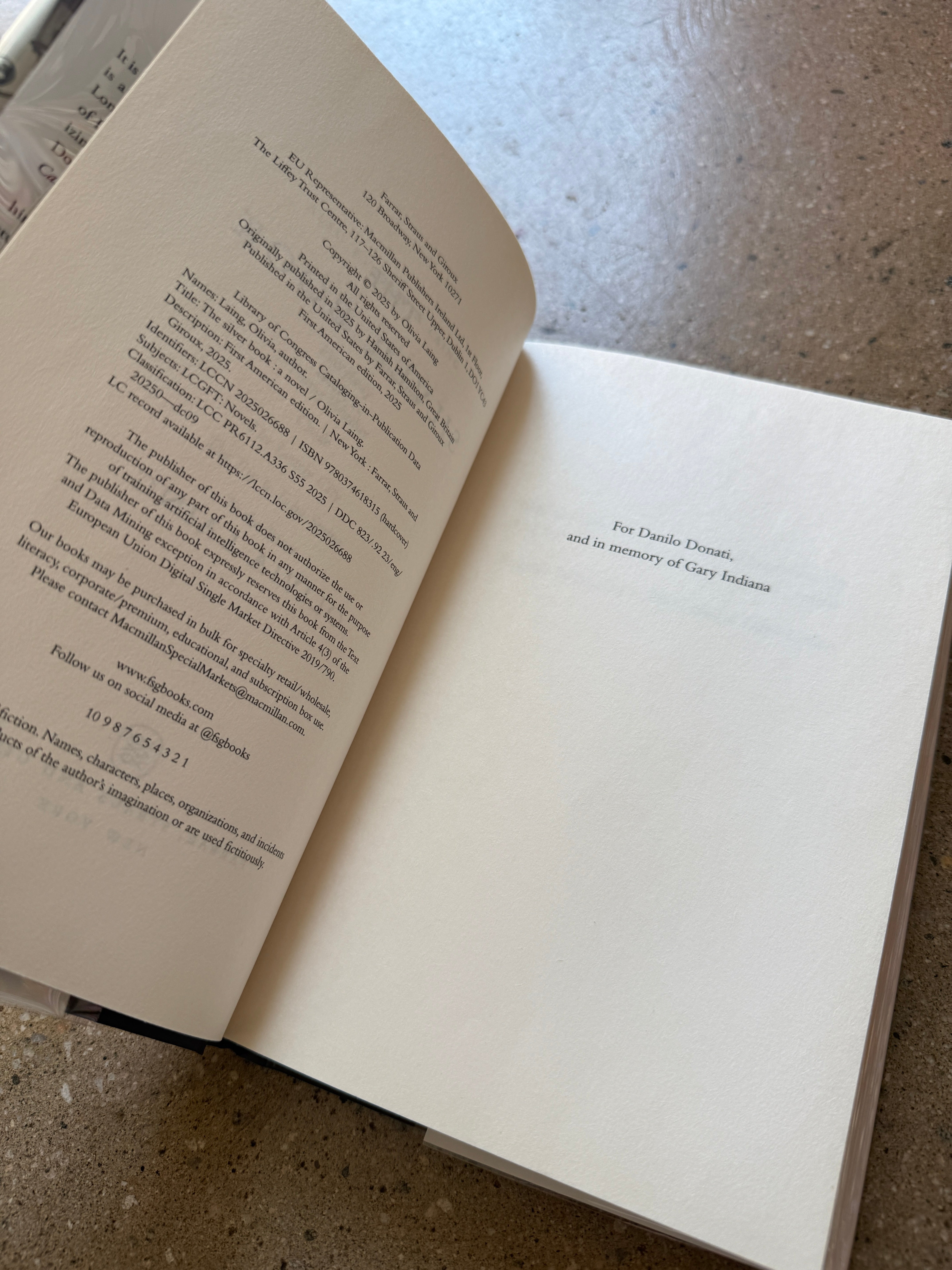 The Silver Book by Olivia Laing