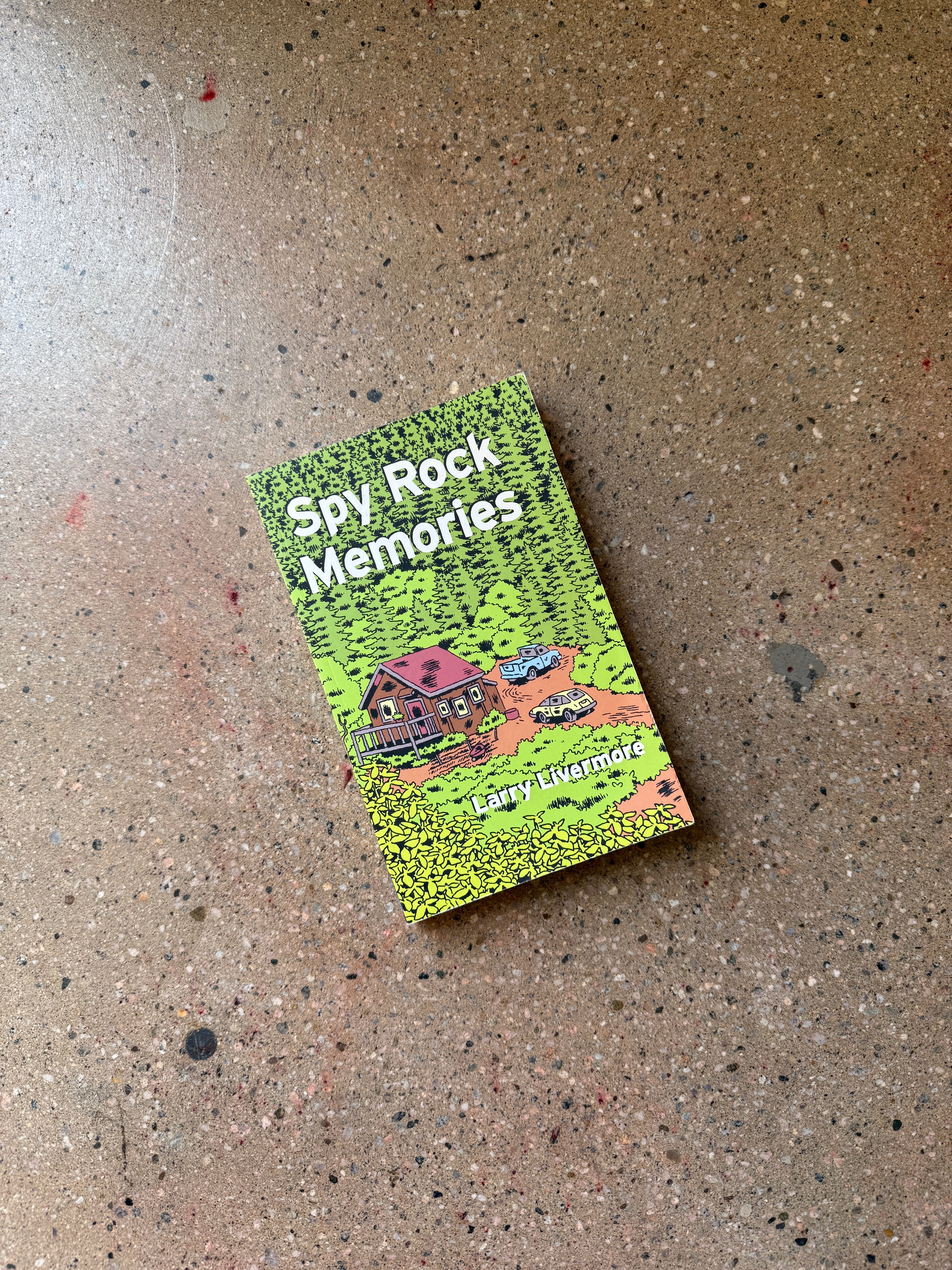 Spy Rock Memories by Larry Livermore (Dan Giovanni Records Trade)