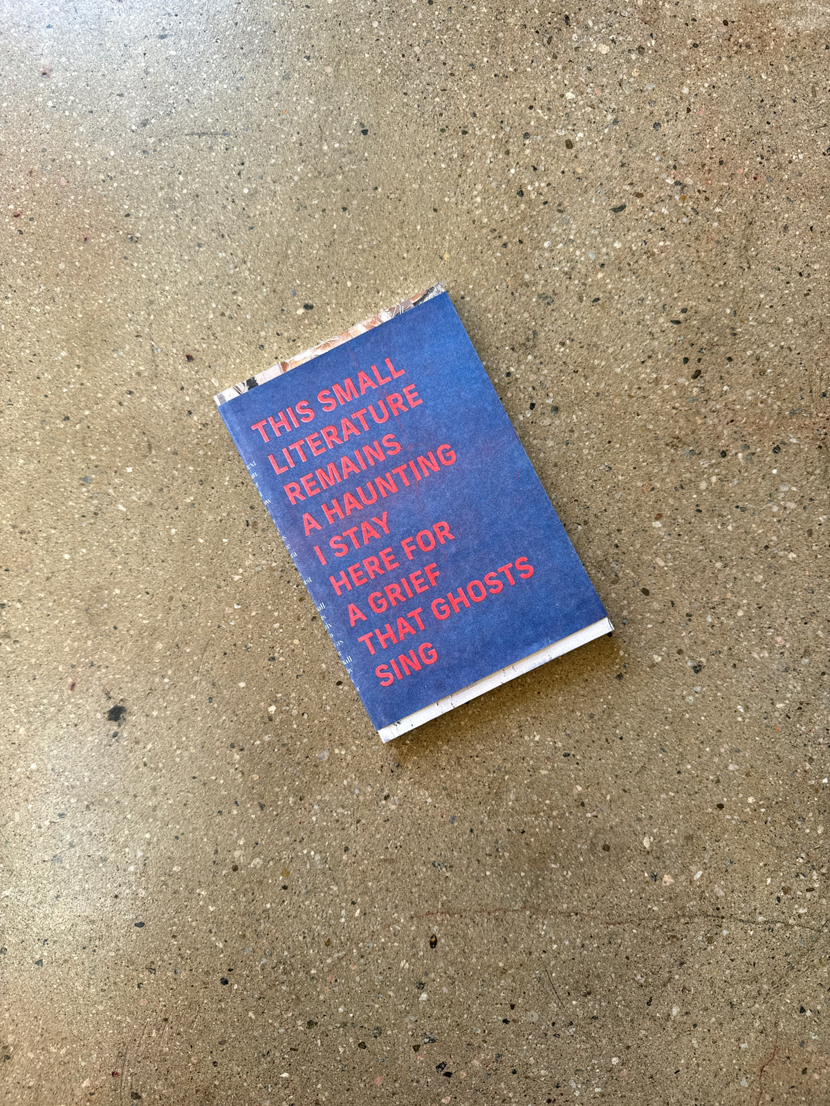 I Ask About What Falls Away by Jason Magabo Perez @kayapress