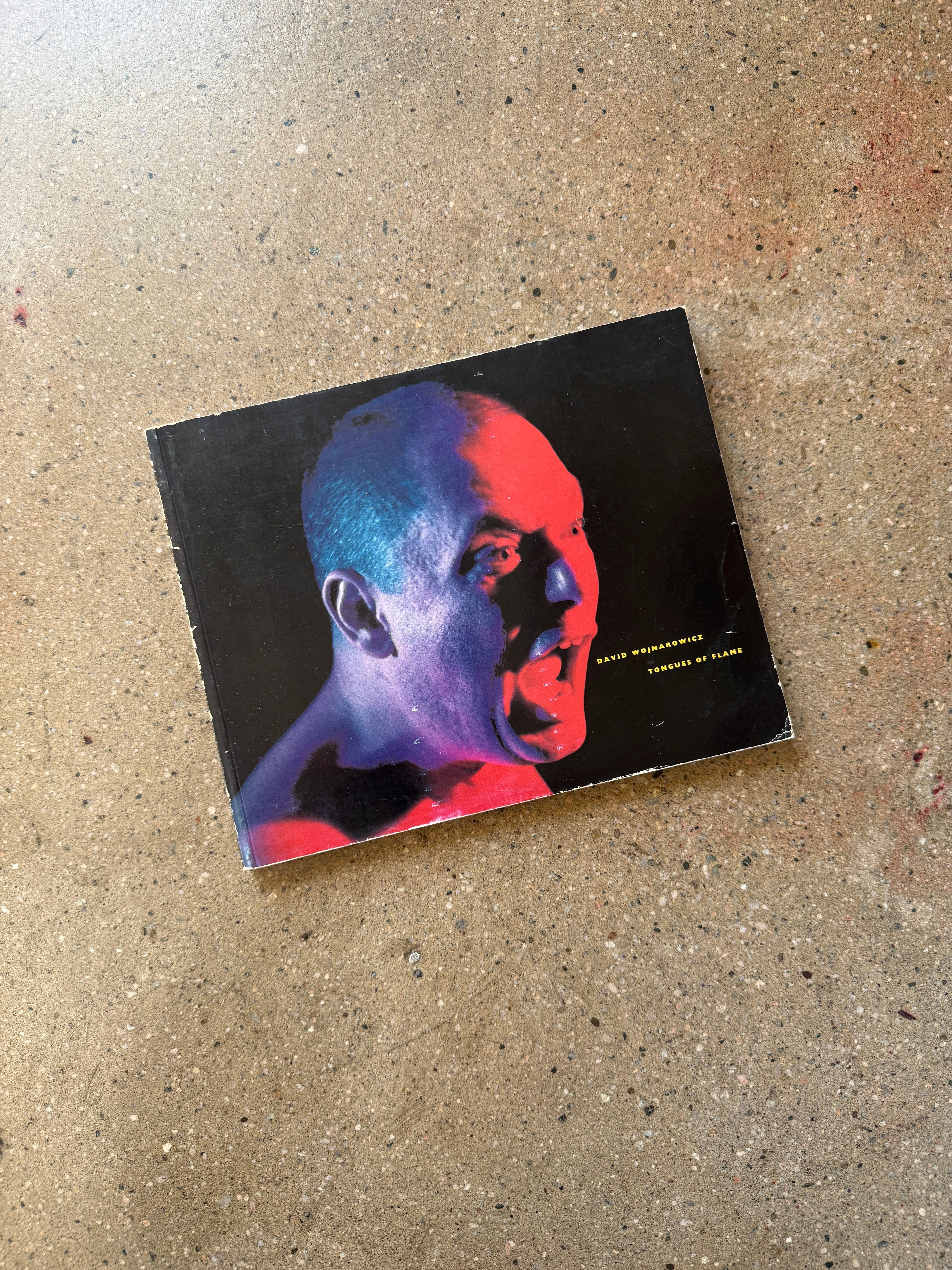 Tongues of Flame by David Wojnarowicz